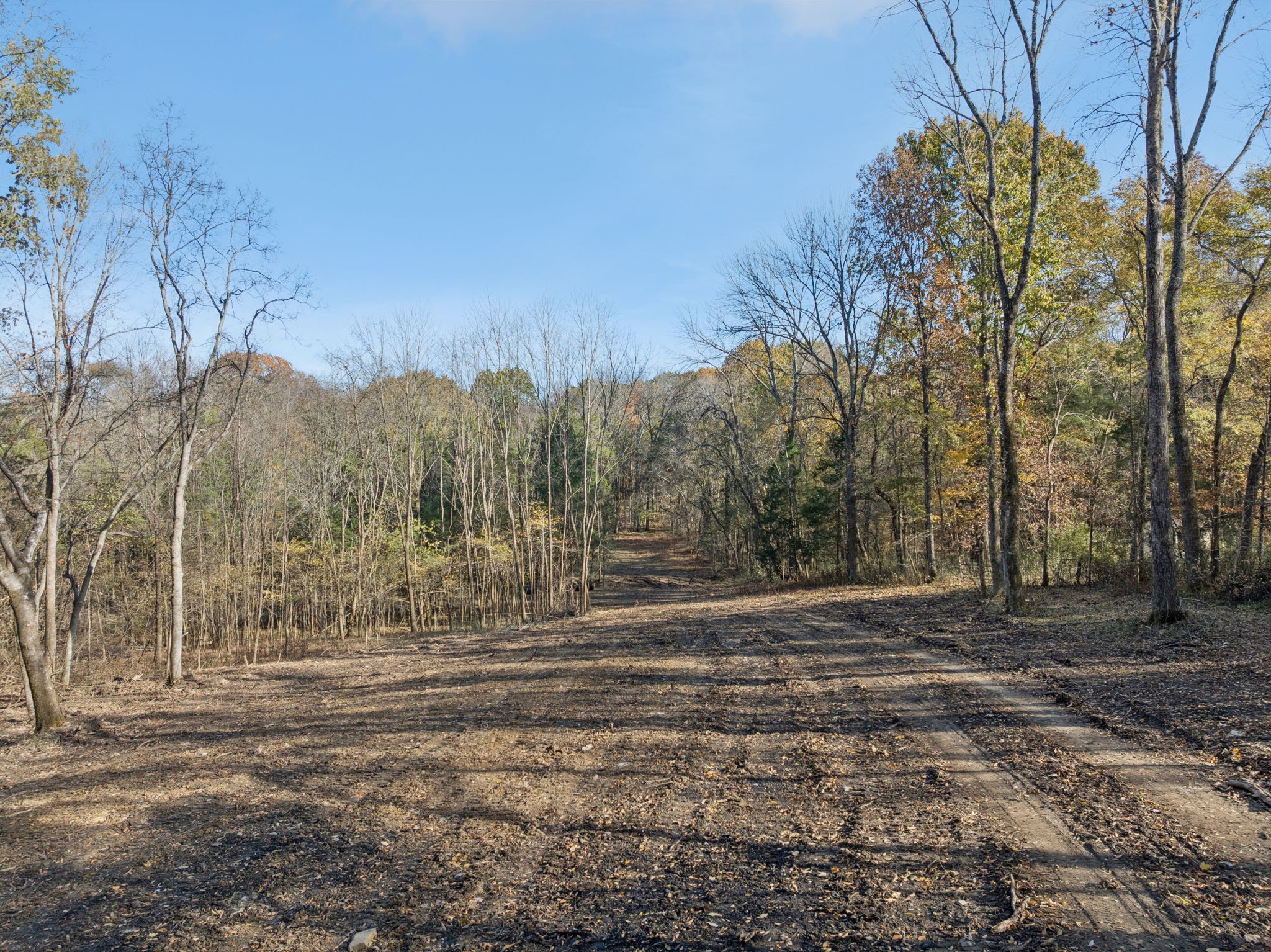 0 Palmer Road Lebanon, TN 37090 - Photo 12 of 31 a view of dirt field with trees in the background