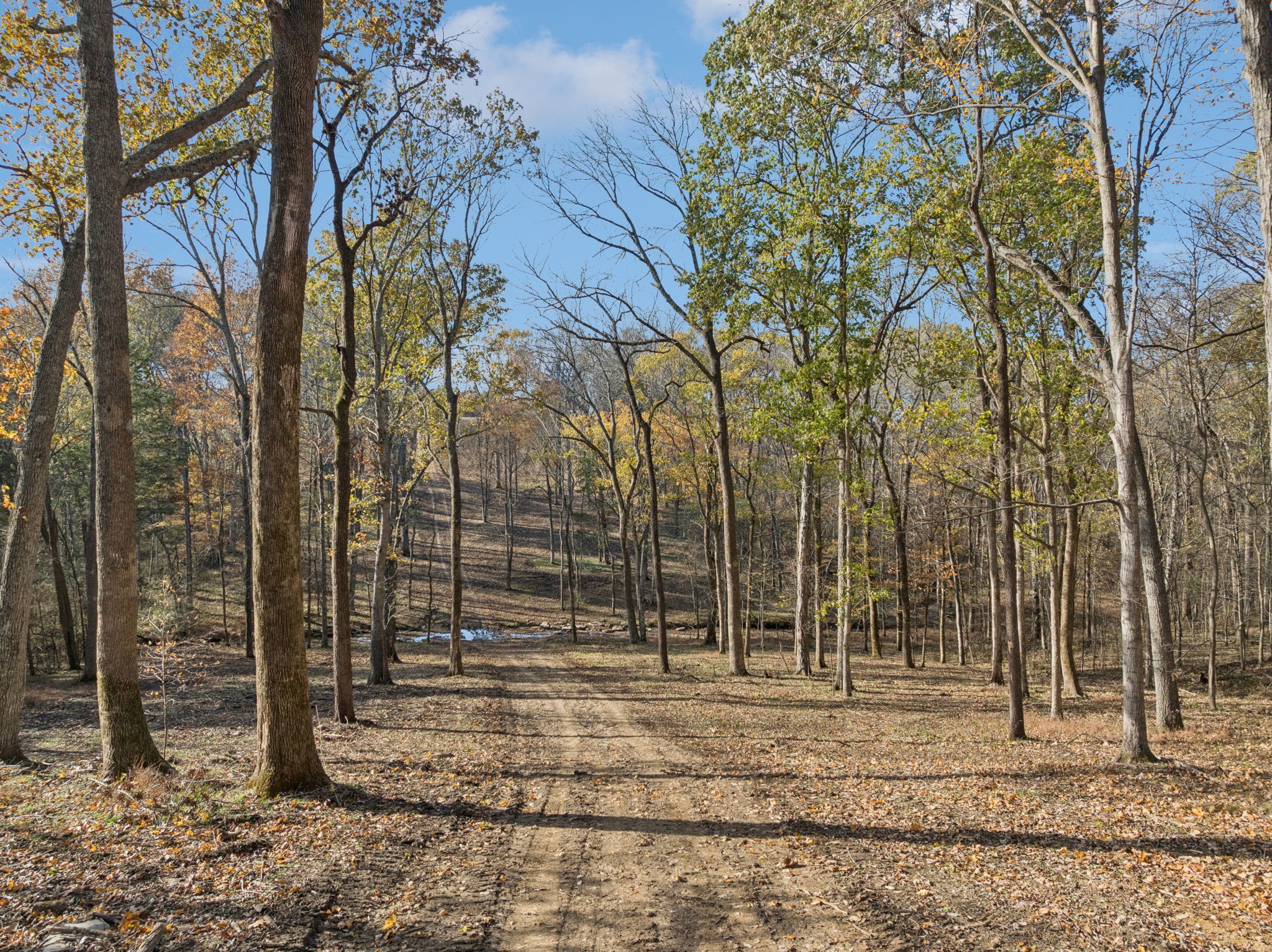 0 Palmer Road Lebanon, TN 37090 - Photo 13 of 31 a backyard of a house with lots of green space