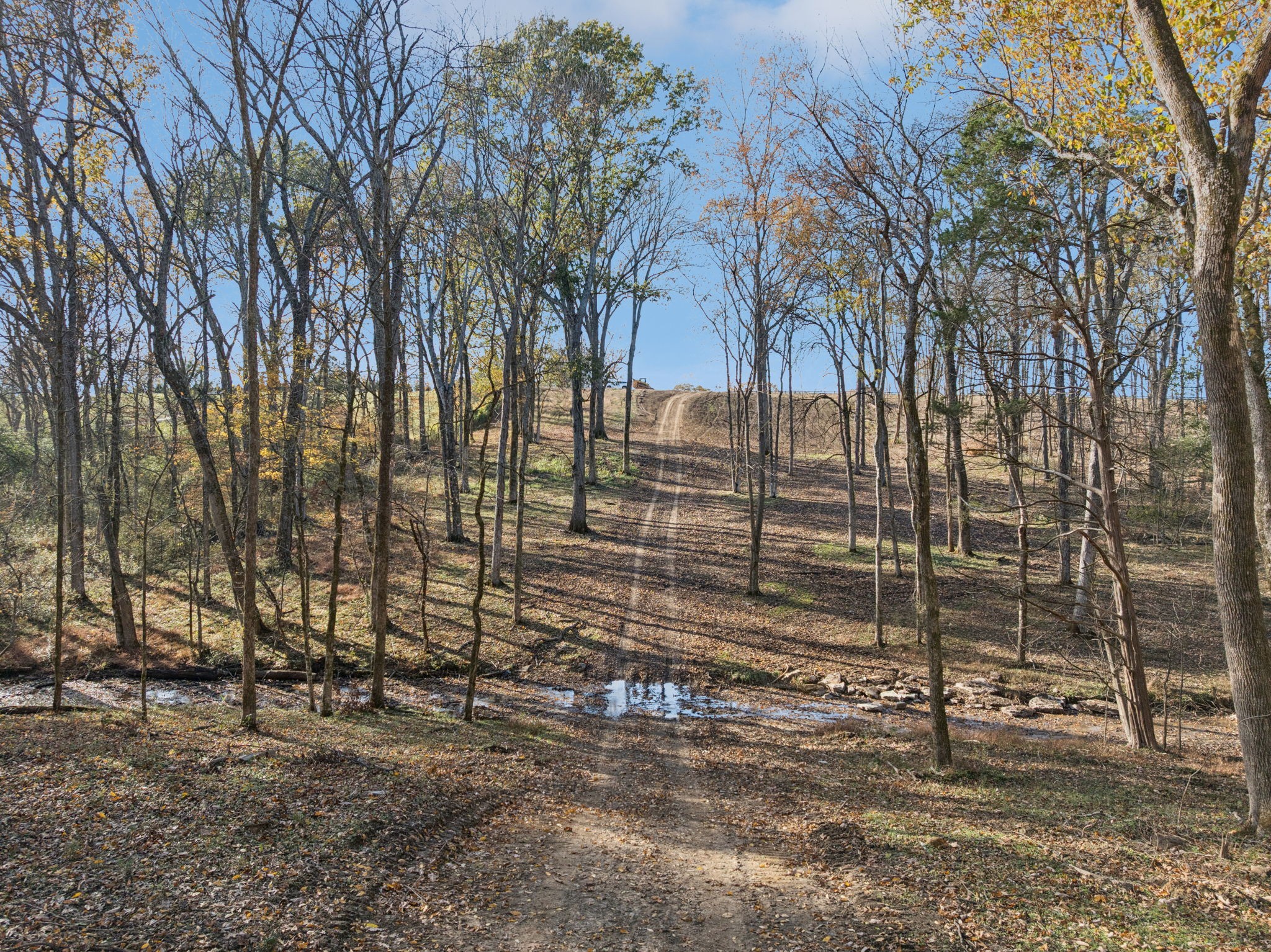 0 Palmer Road Lebanon, TN 37090 - Photo 14 of 31 a backyard of a house with lots of green space