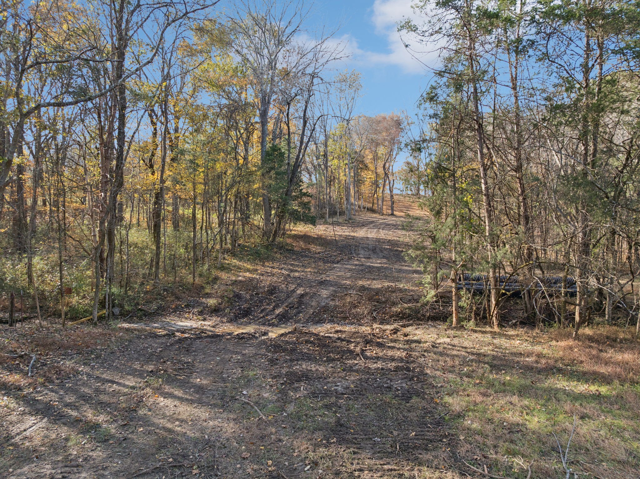 0 Palmer Road Lebanon, TN 37090 - Photo 15 of 31 a view of a yard with trees