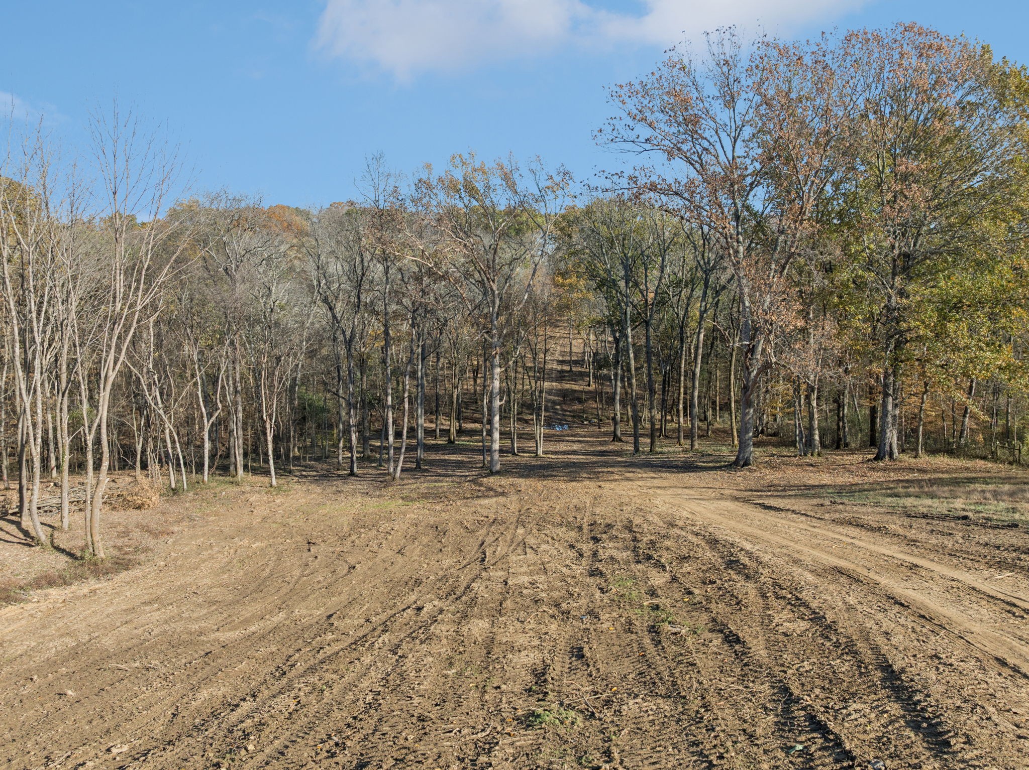 0 Palmer Road Lebanon, TN 37090 - Photo 16 of 31 a view of a yard with trees