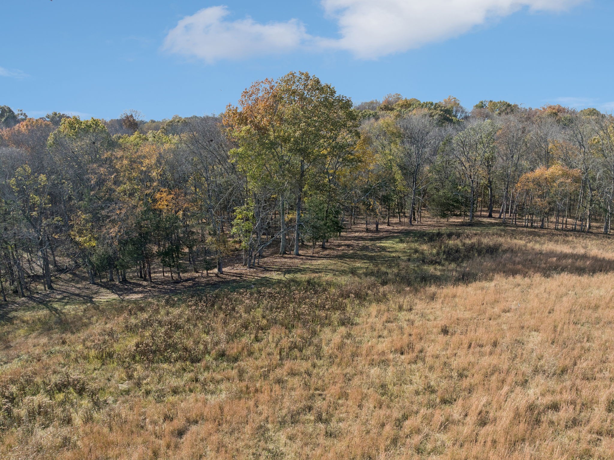 0 Palmer Road Lebanon, TN 37090 - Photo 17 of 31 a view of dirt field with trees in the background