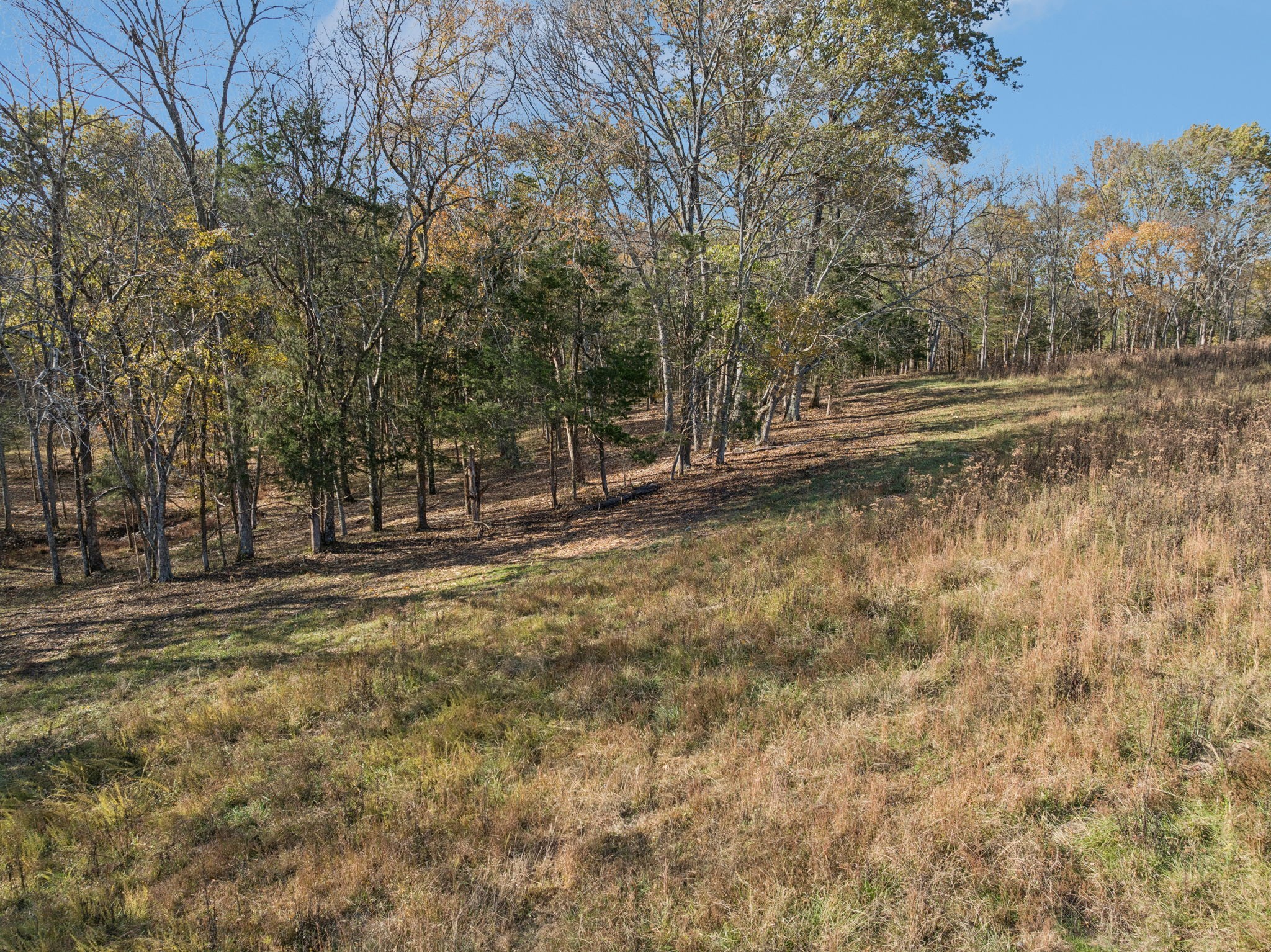 0 Palmer Road Lebanon, TN 37090 - Photo 18 of 31 a view of a yard with trees