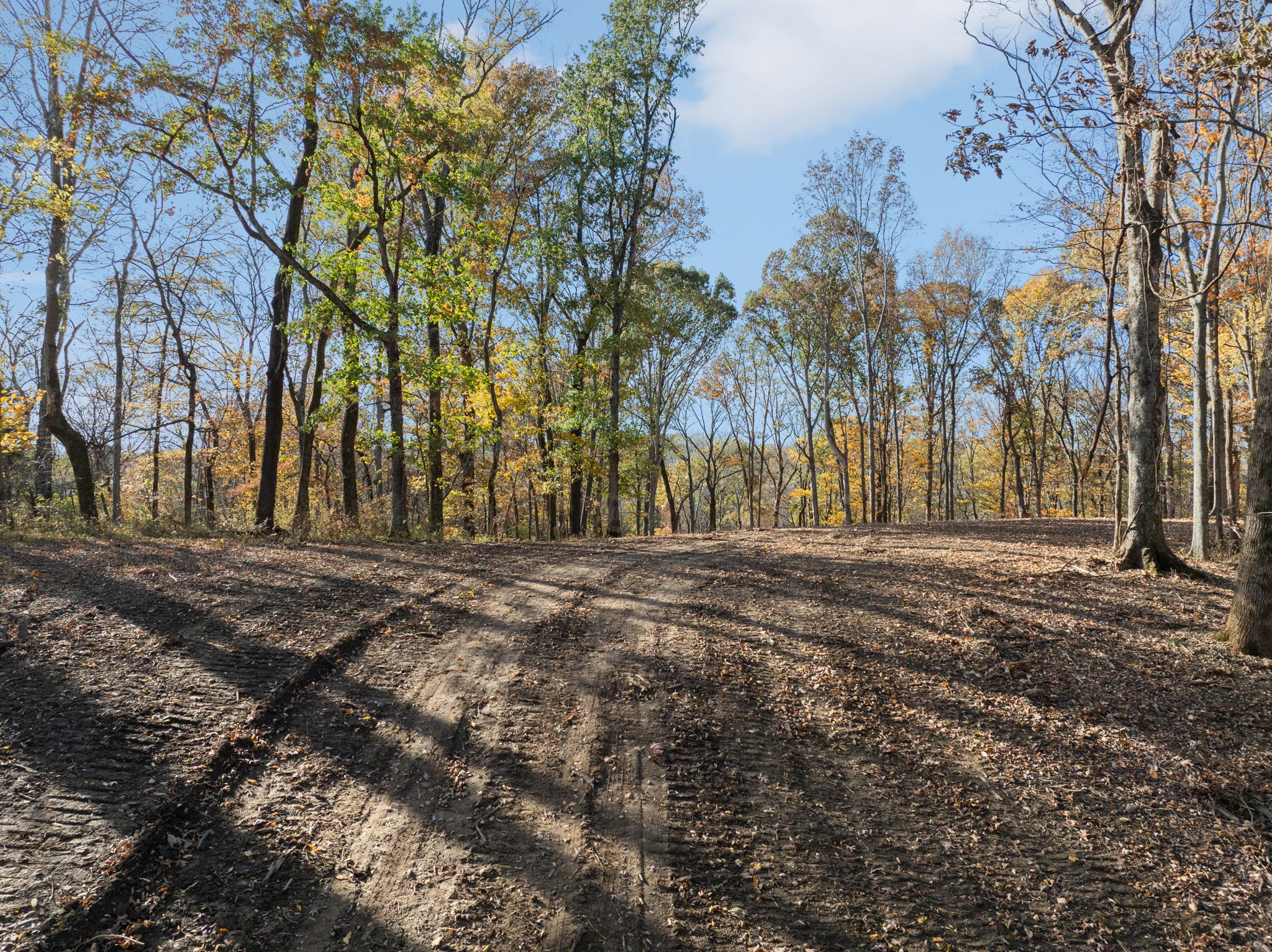0 Palmer Road Lebanon, TN 37090 - Photo 19 of 31 a view of dirt yard with a large tree