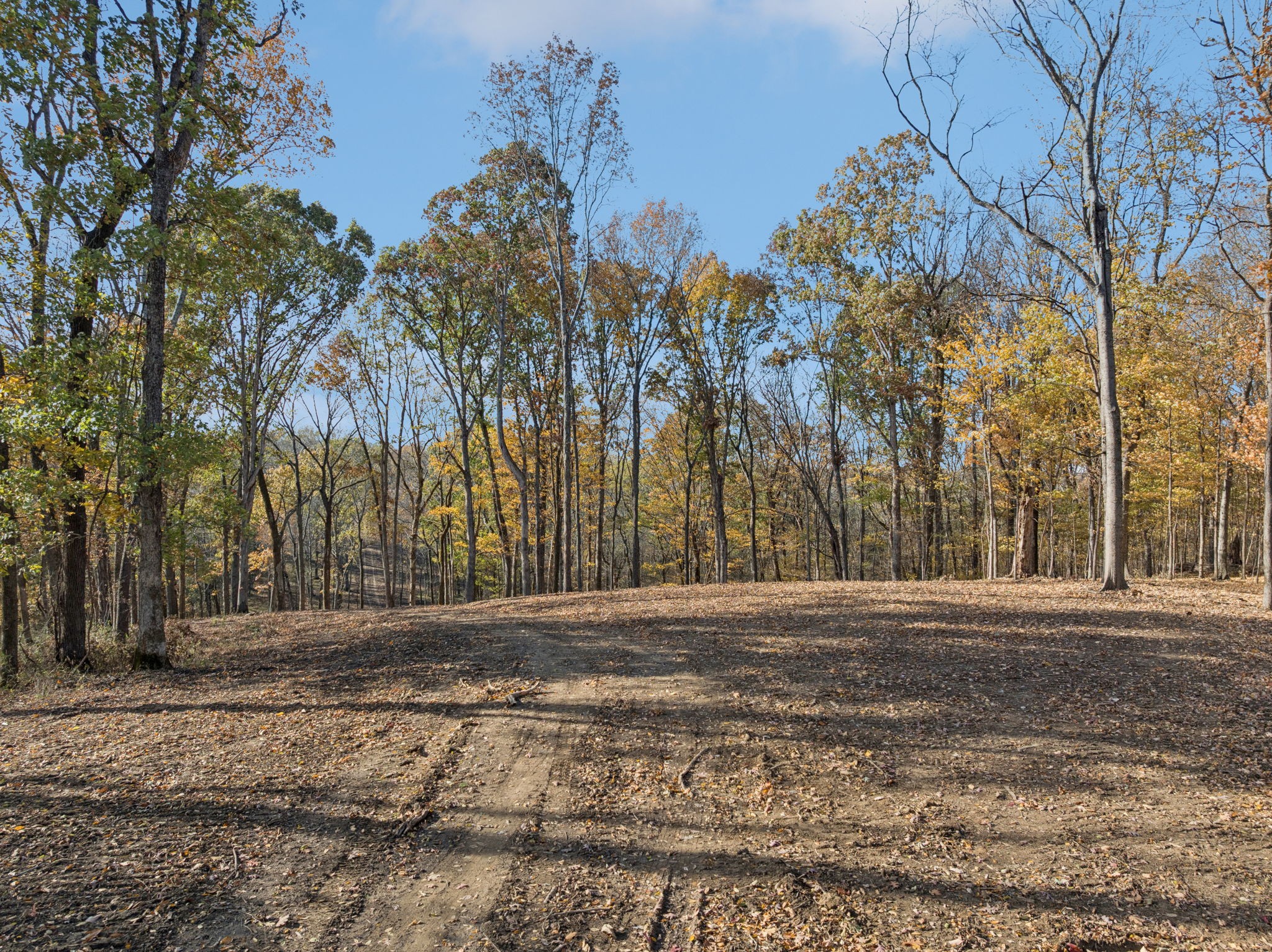 0 Palmer Road Lebanon, TN 37090 - Photo 2 of 31 a view of road view with large trees