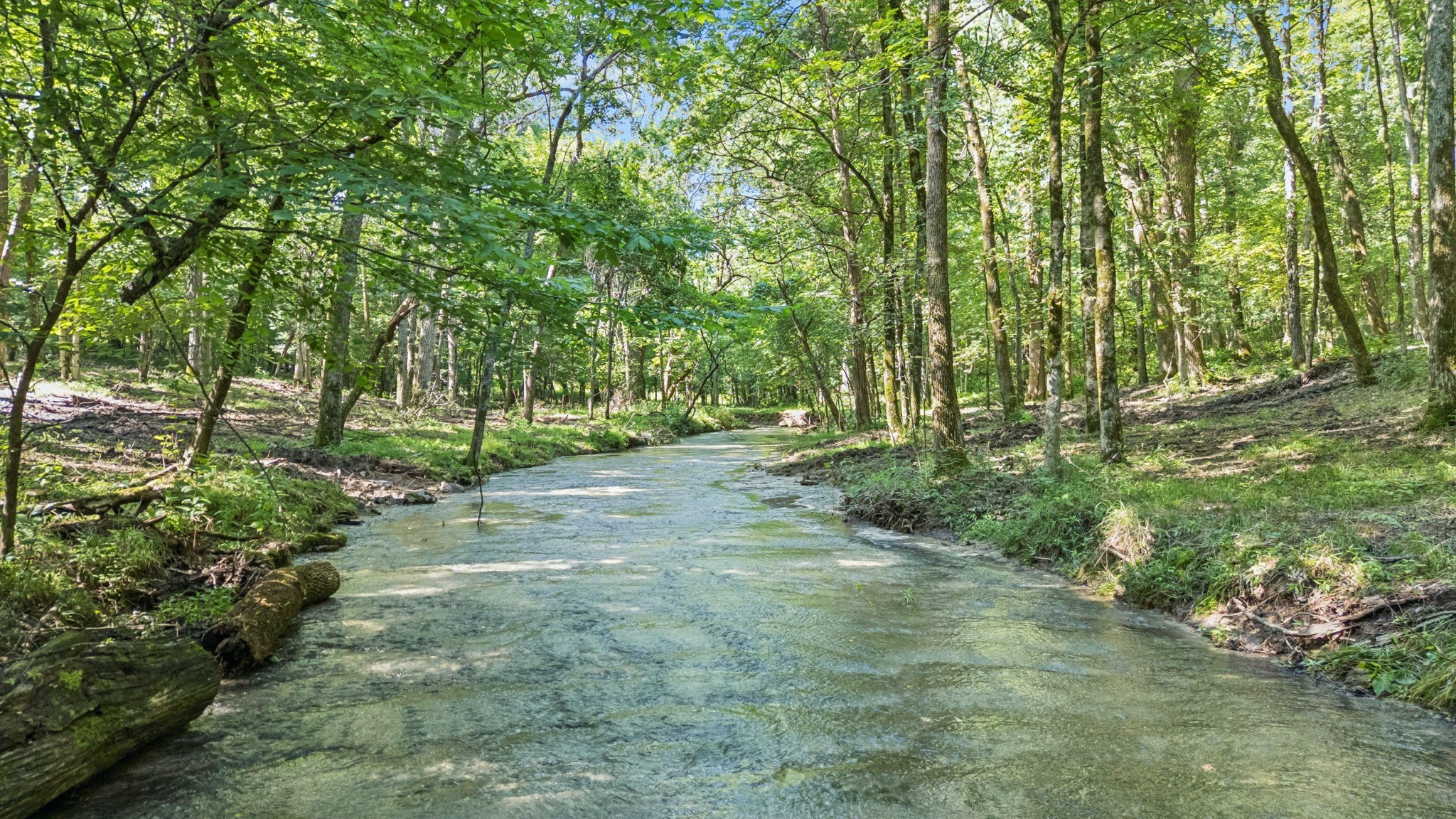 0 Palmer Road Lebanon, TN 37090 - Photo 21 of 31 a view of outdoor space and trees all around