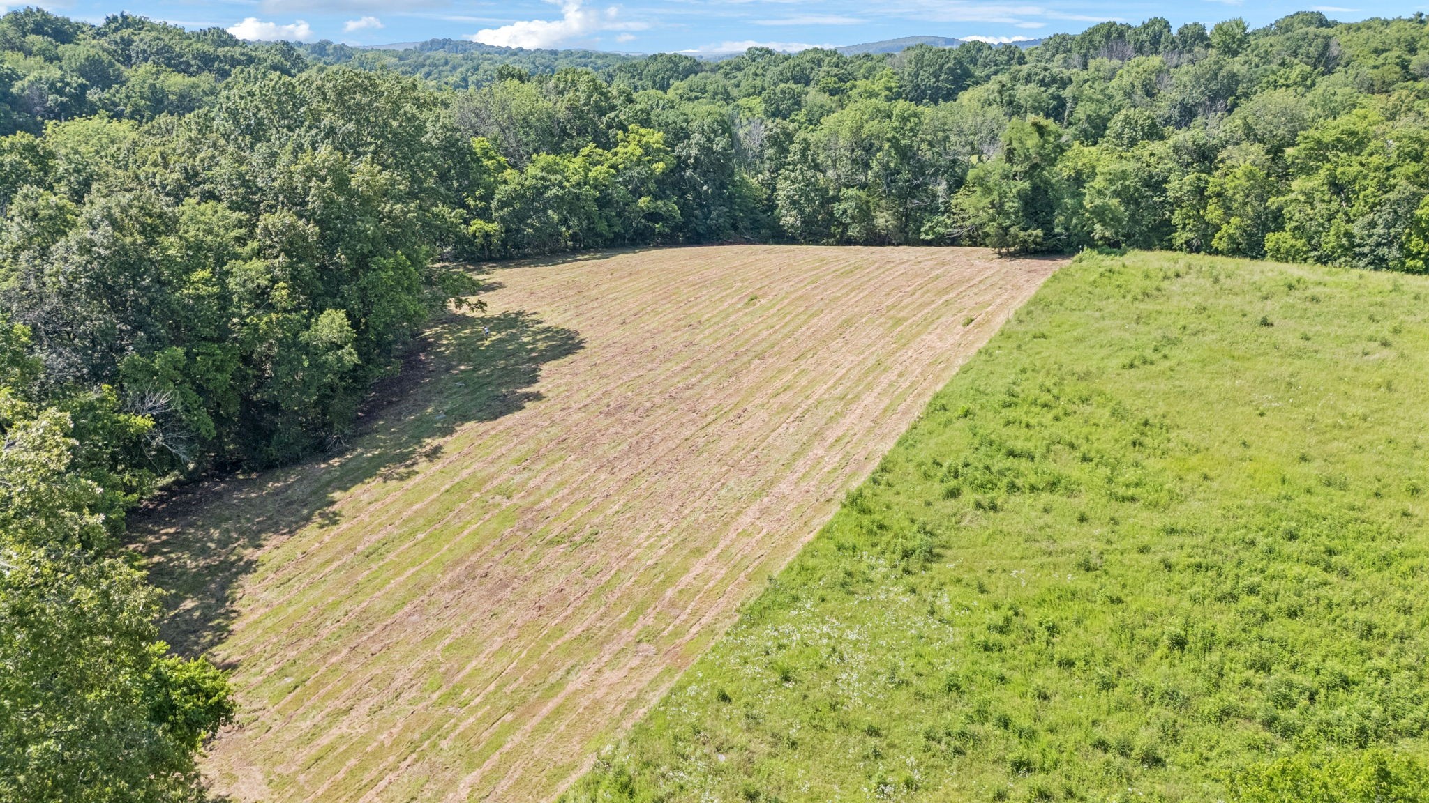0 Palmer Road Lebanon, TN 37090 - Photo 23 of 31 a view of a yard
