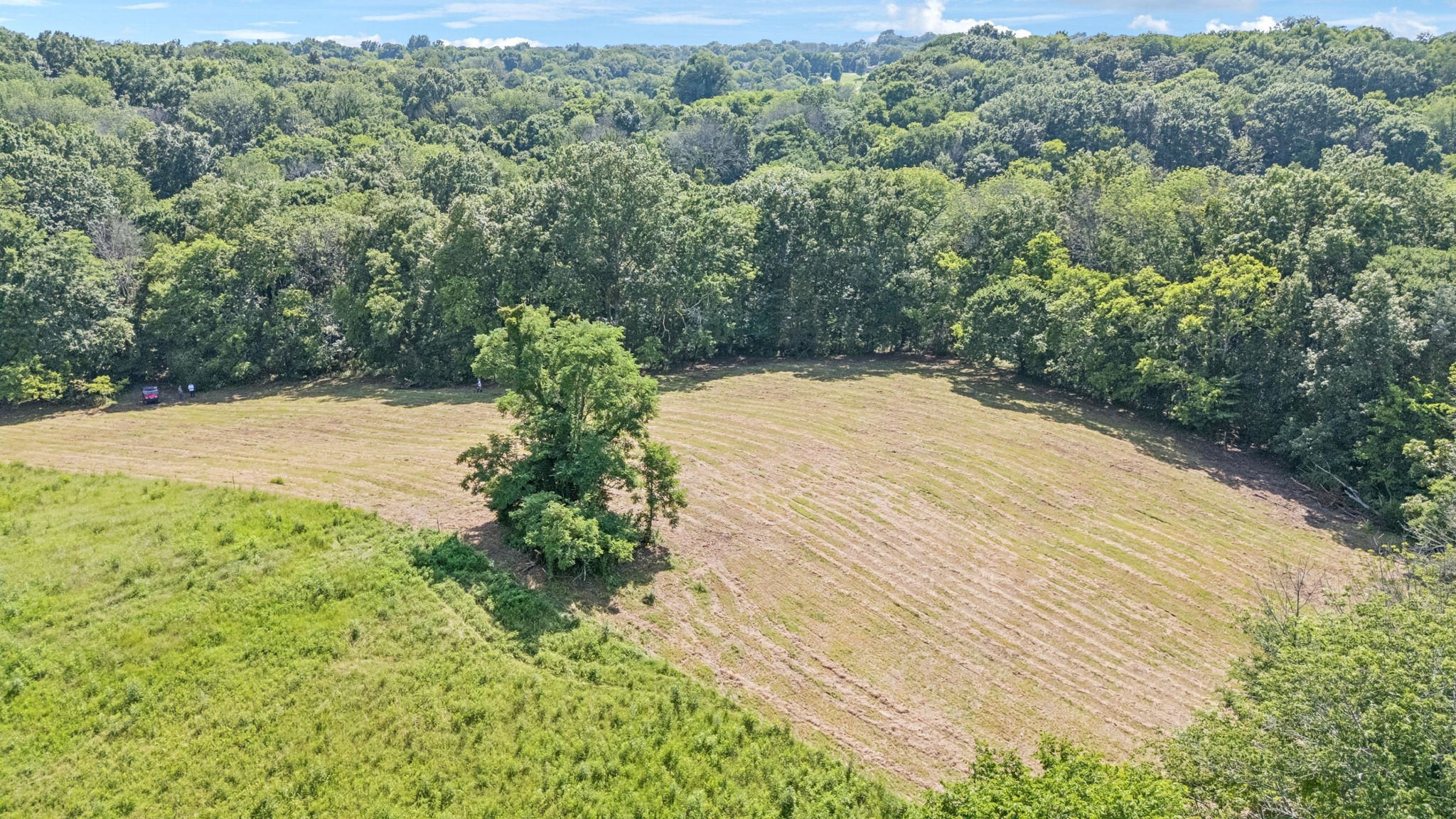 0 Palmer Road Lebanon, TN 37090 - Photo 25 of 31 a view of a yard