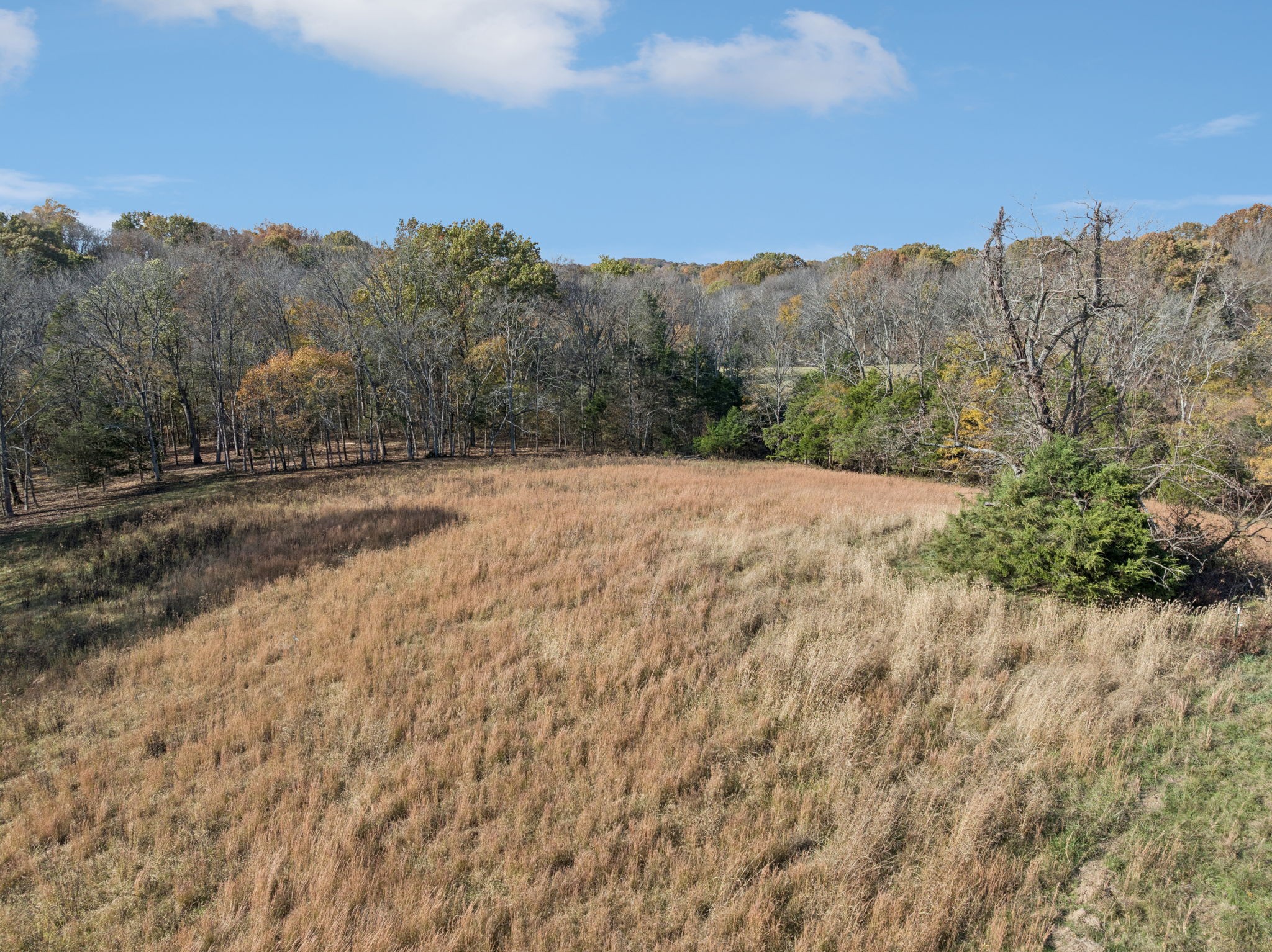 0 Palmer Road Lebanon, TN 37090 - Photo 26 of 31 a view of dirt field with trees in the background
