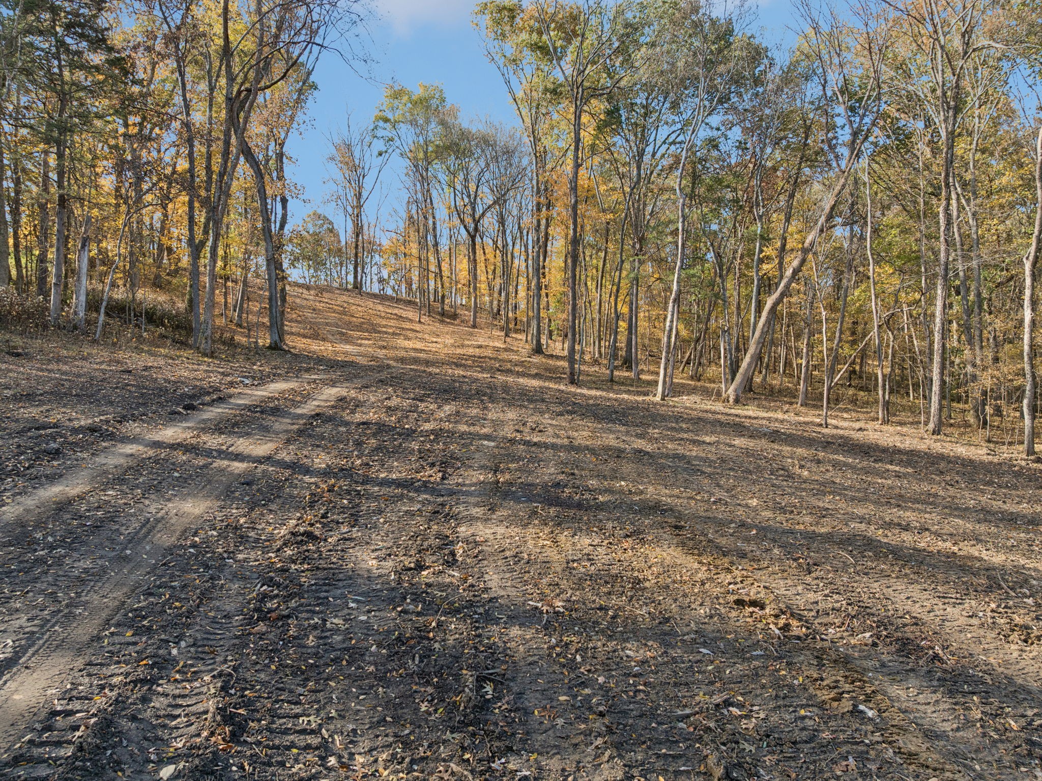 0 Palmer Road Lebanon, TN 37090 - Photo 4 of 31 a view of outdoor space with trees