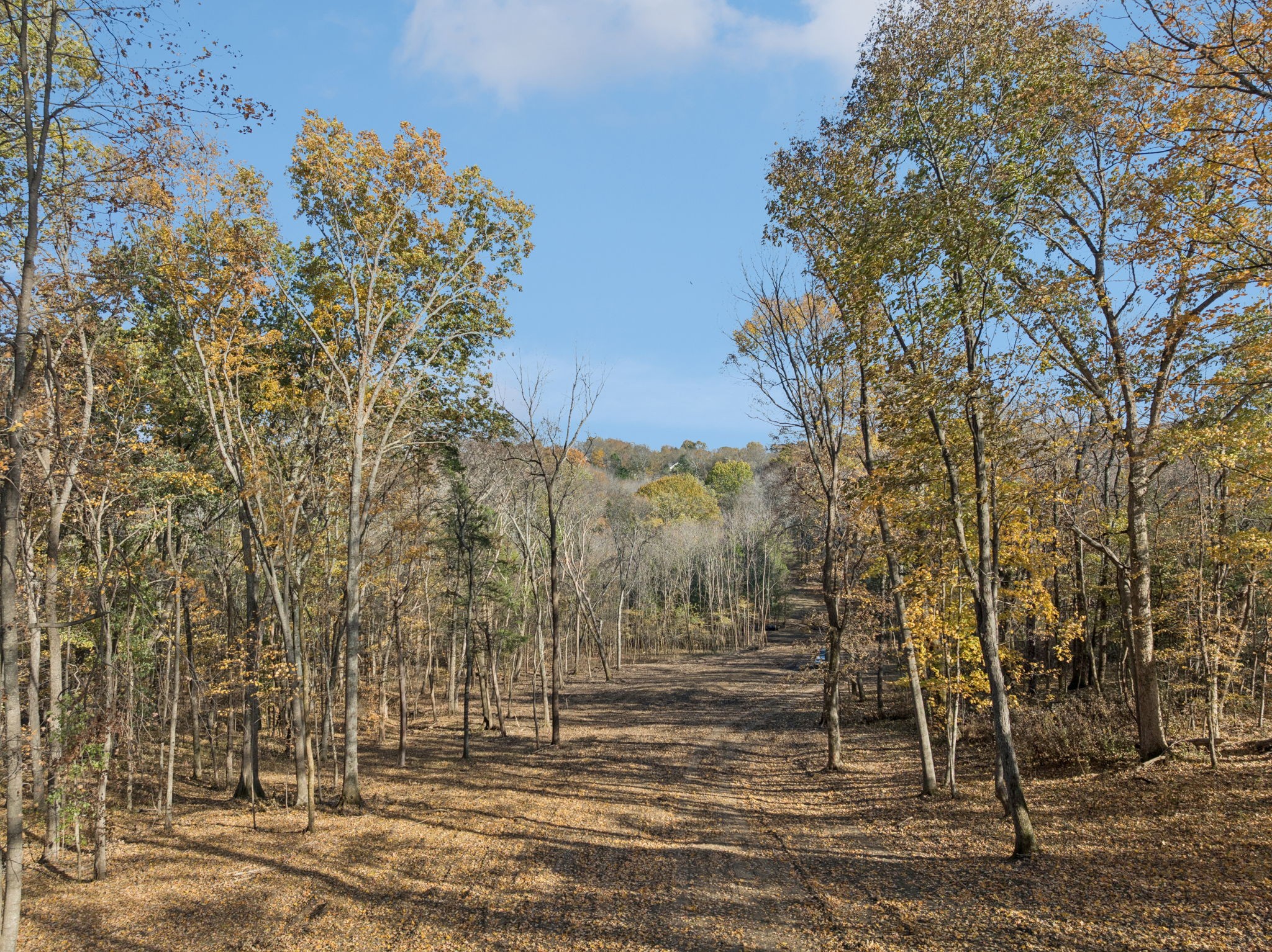 0 Palmer Road Lebanon, TN 37090 - Photo 5 of 31 a view of a house with a yard