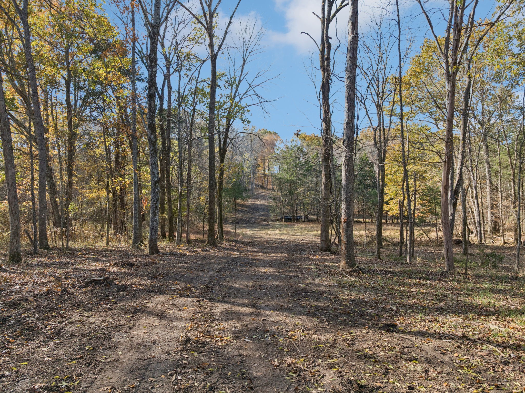 0 Palmer Road Lebanon, TN 37090 - Photo 7 of 31 a backyard of a house with lots of green space