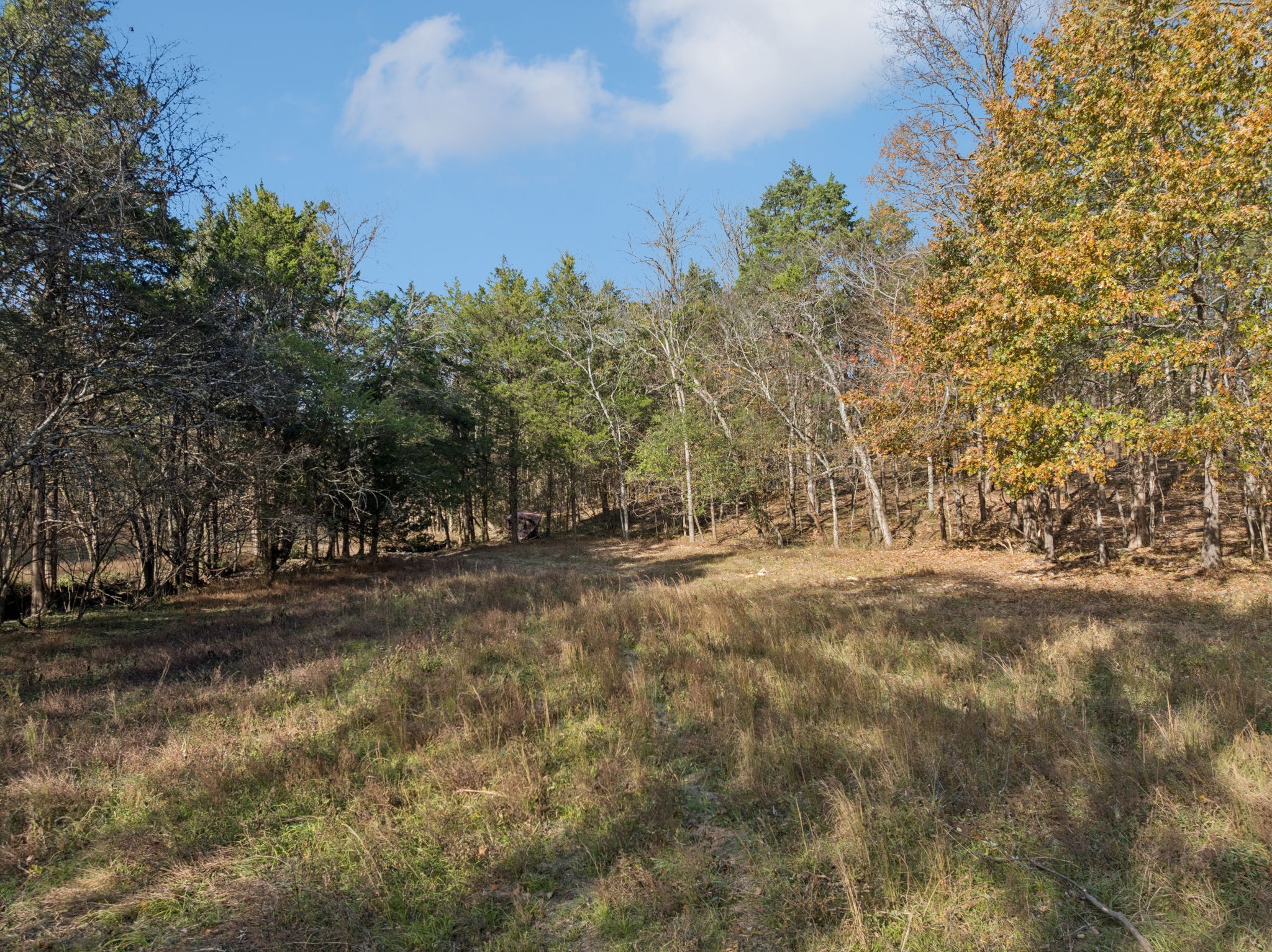 0 Palmer Road Lebanon, TN 37090 - Photo 8 of 31 a view of a yard with trees