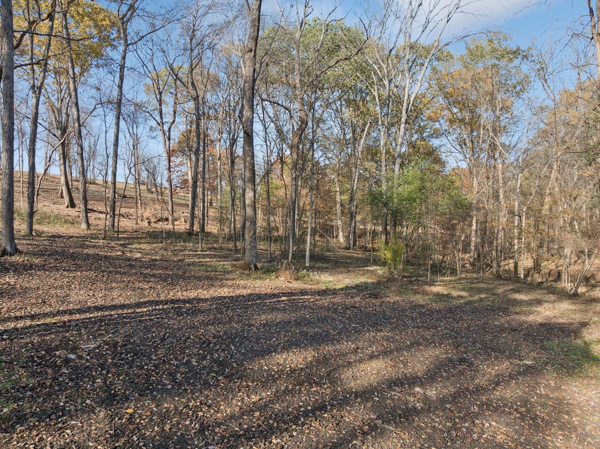 0 Palmer Road Lebanon, TN 37090 - Photo 9 of 31 a backyard of a house with lots of green space