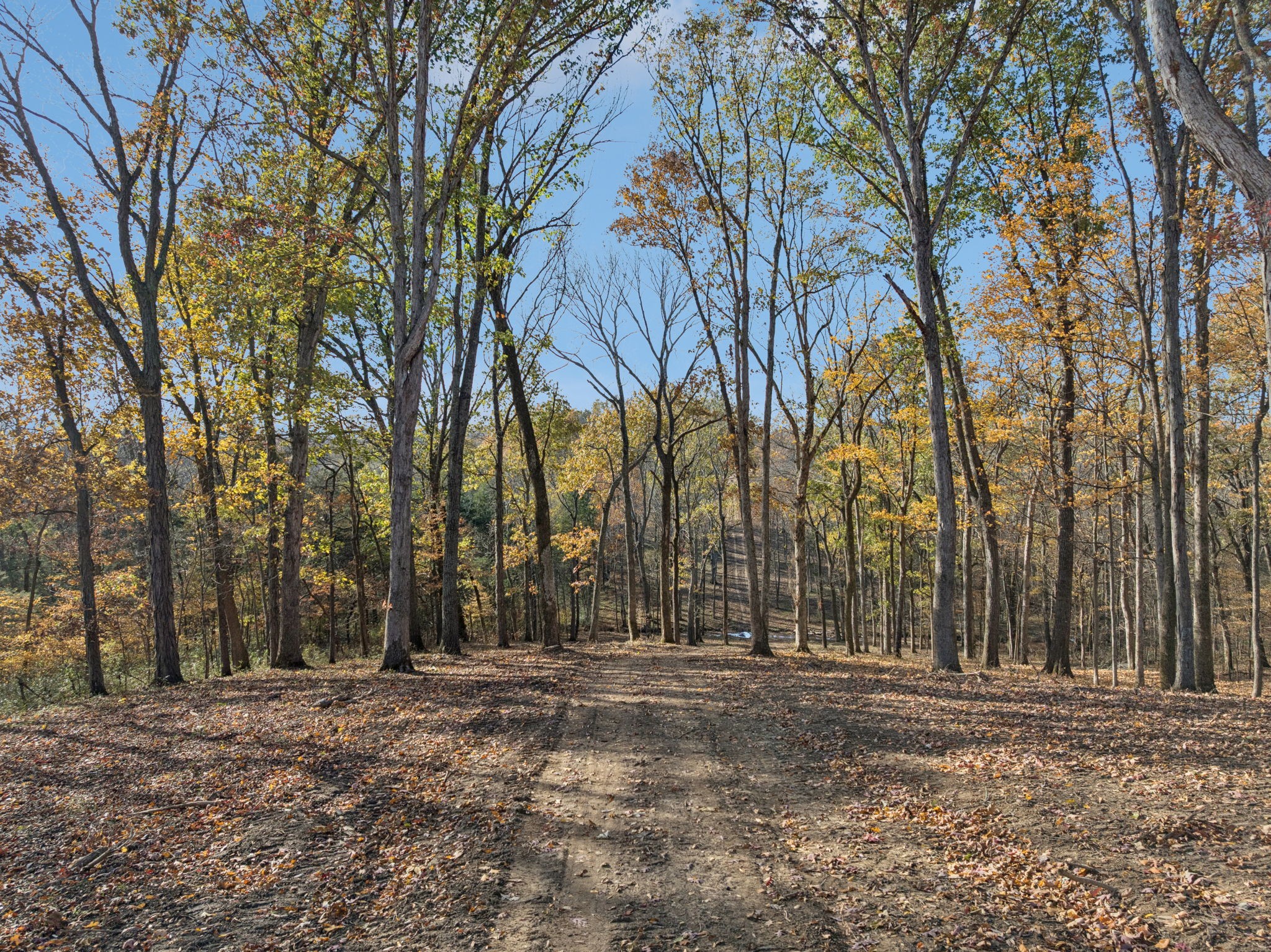0 Palmer Road Lebanon, TN 37090 - Photo 10 of 31 a view of outdoor space with trees