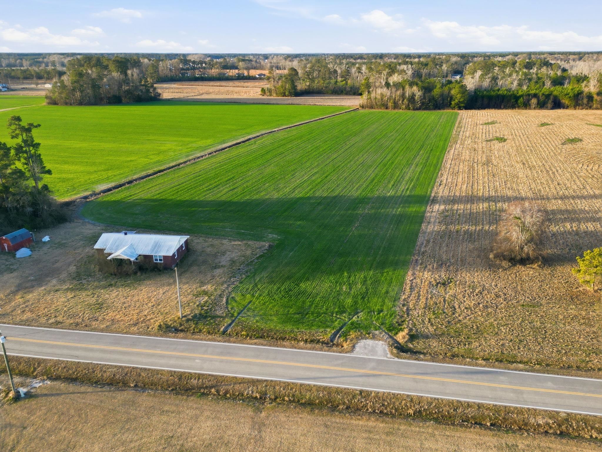 2 Fries Bay Road Loris, SC 29569 - Photo 5 of 6