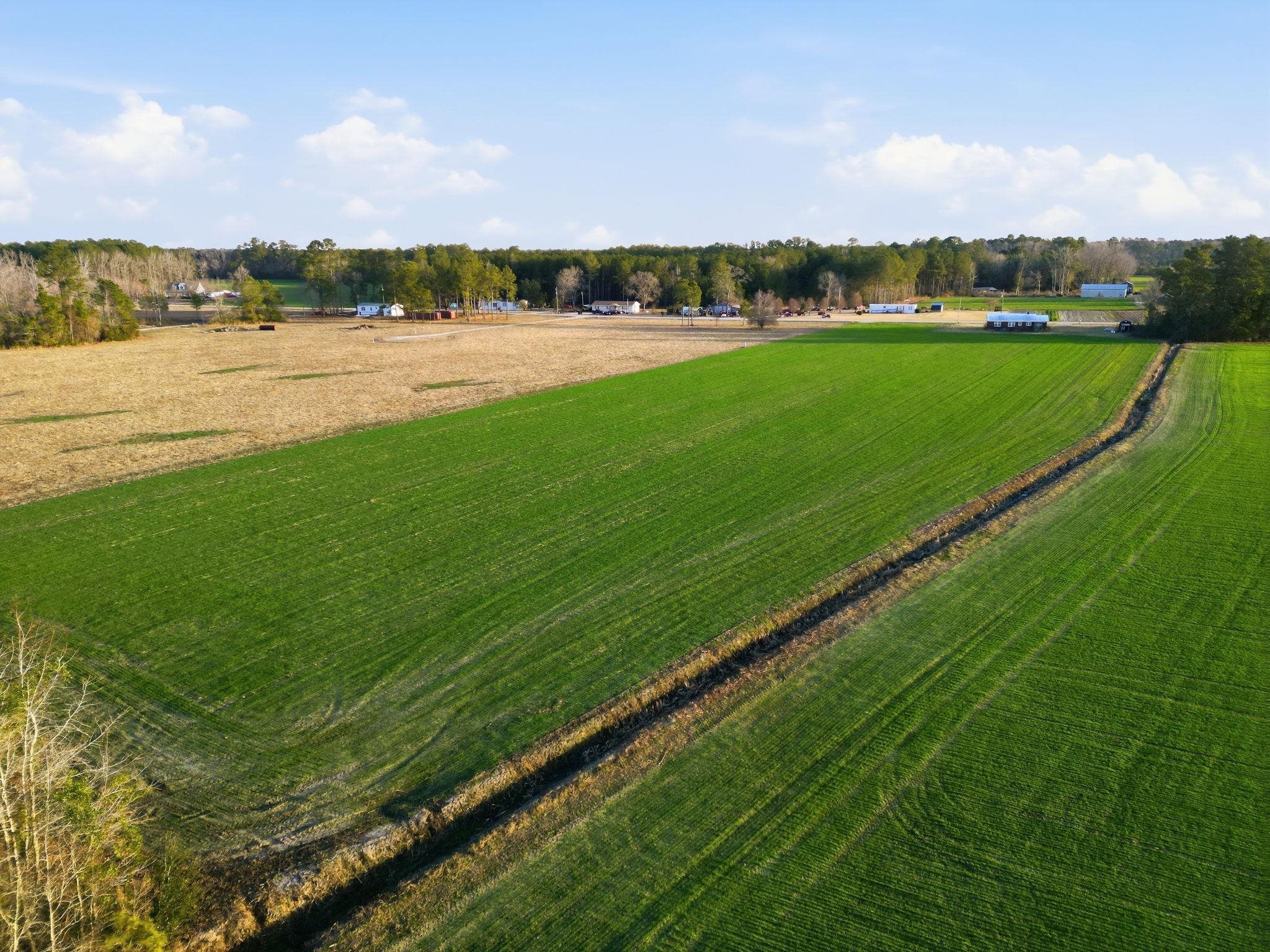 2 Fries Bay Road Loris, SC 29569 - Photo 6 of 6