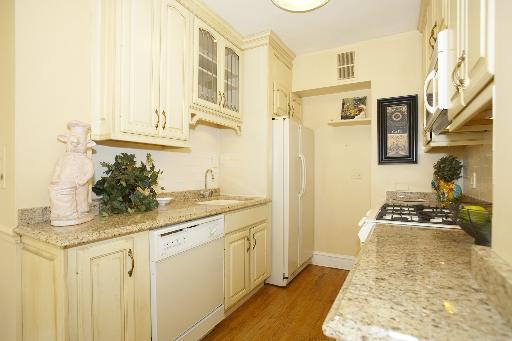 1255 North State Parkway, Unit 5D Chicago, IL 60610 - Photo 6 of 16 a kitchen with stainless steel appliances granite countertop a sink stove and cabinets