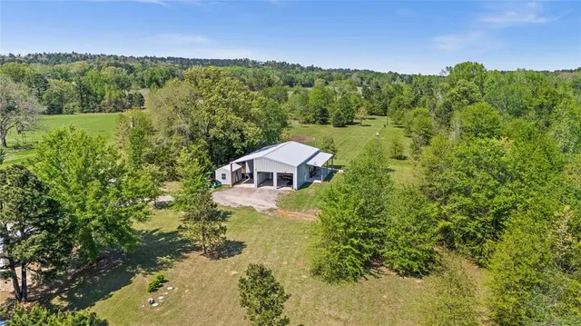a view of a yard with plants and trees