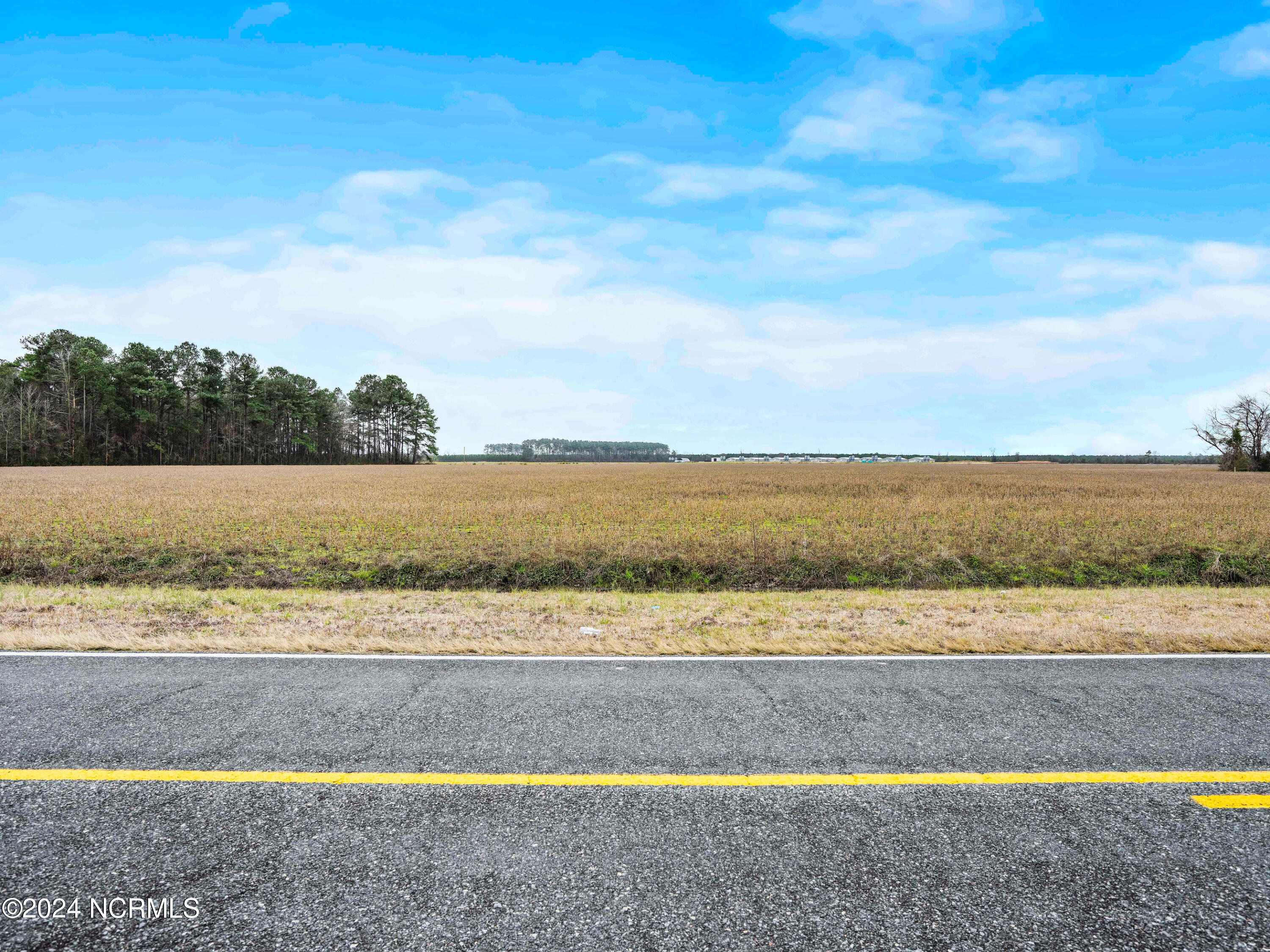 30-ac Raccoon Road Willard, NC 28478 - Photo 17 of 22 Road View