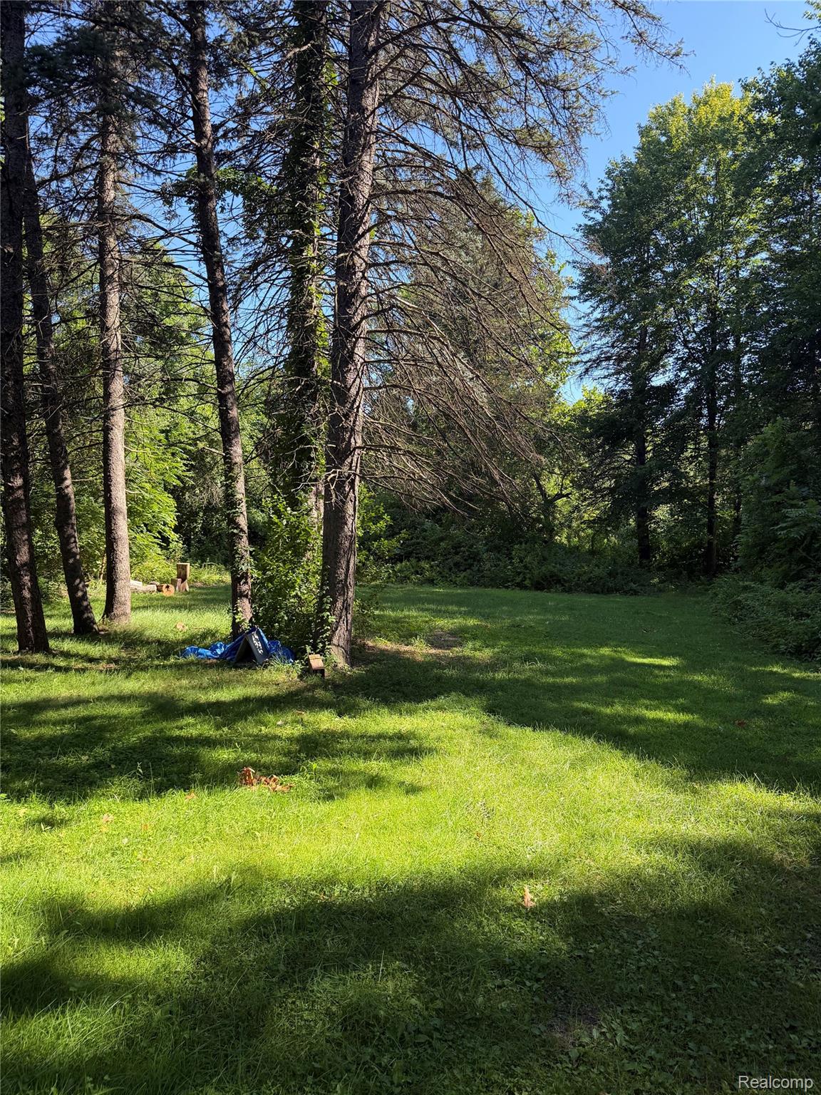 24934 23 Mile Road Macomb, MI 48042 - Photo 21 of 24 Expansive grounds featuring mature shade trees, lush manicured lawn, and natural woodland backdrop