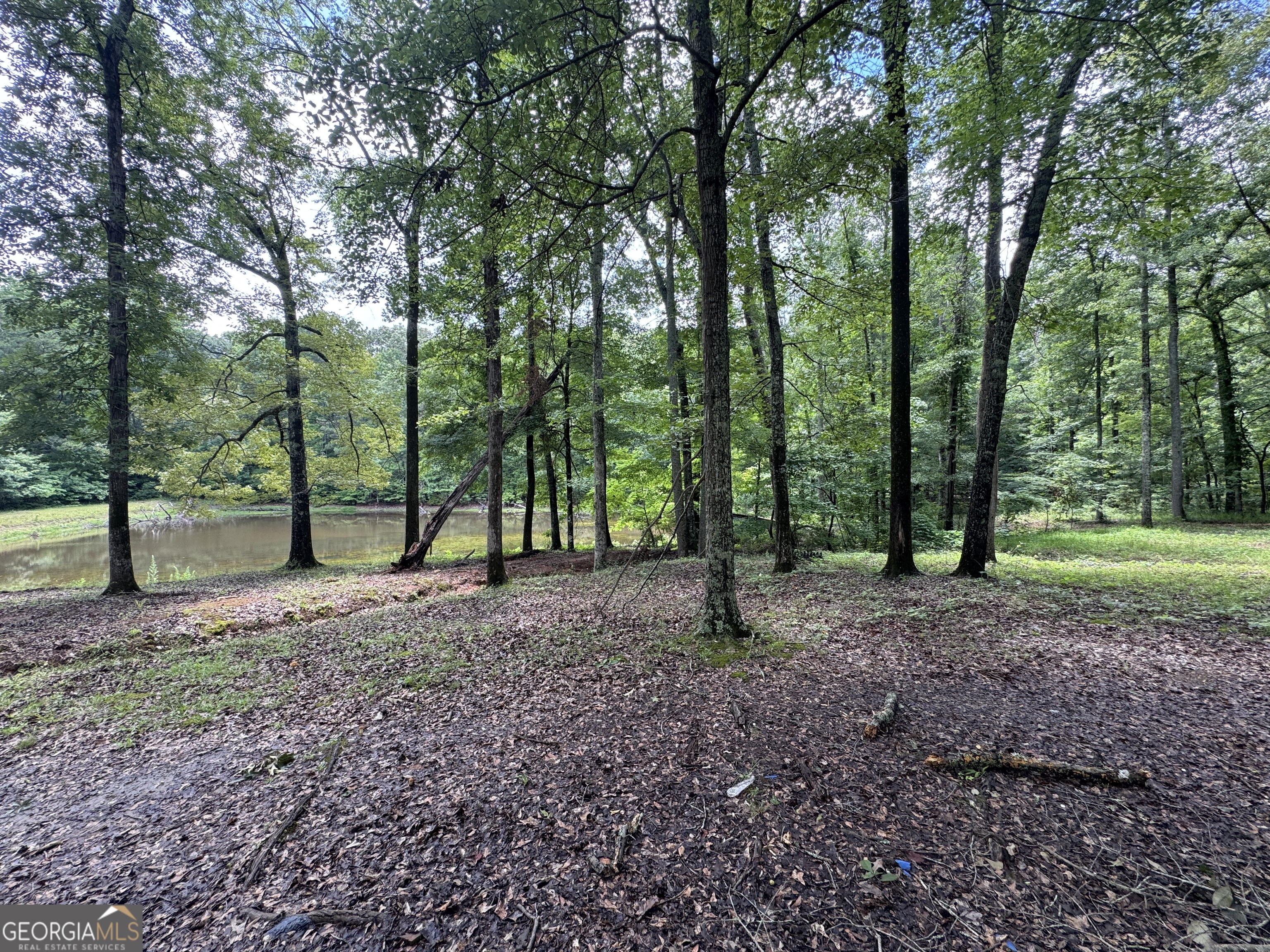 3413 Dames Ferry Road Forsyth, GA 31029 - Photo 6 of 23