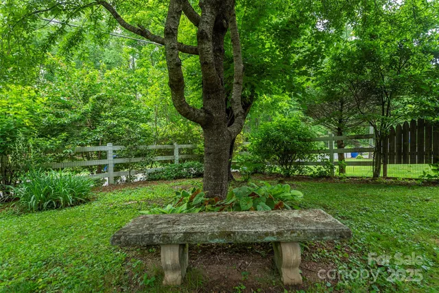 a view of a lush green forest with lush green forest