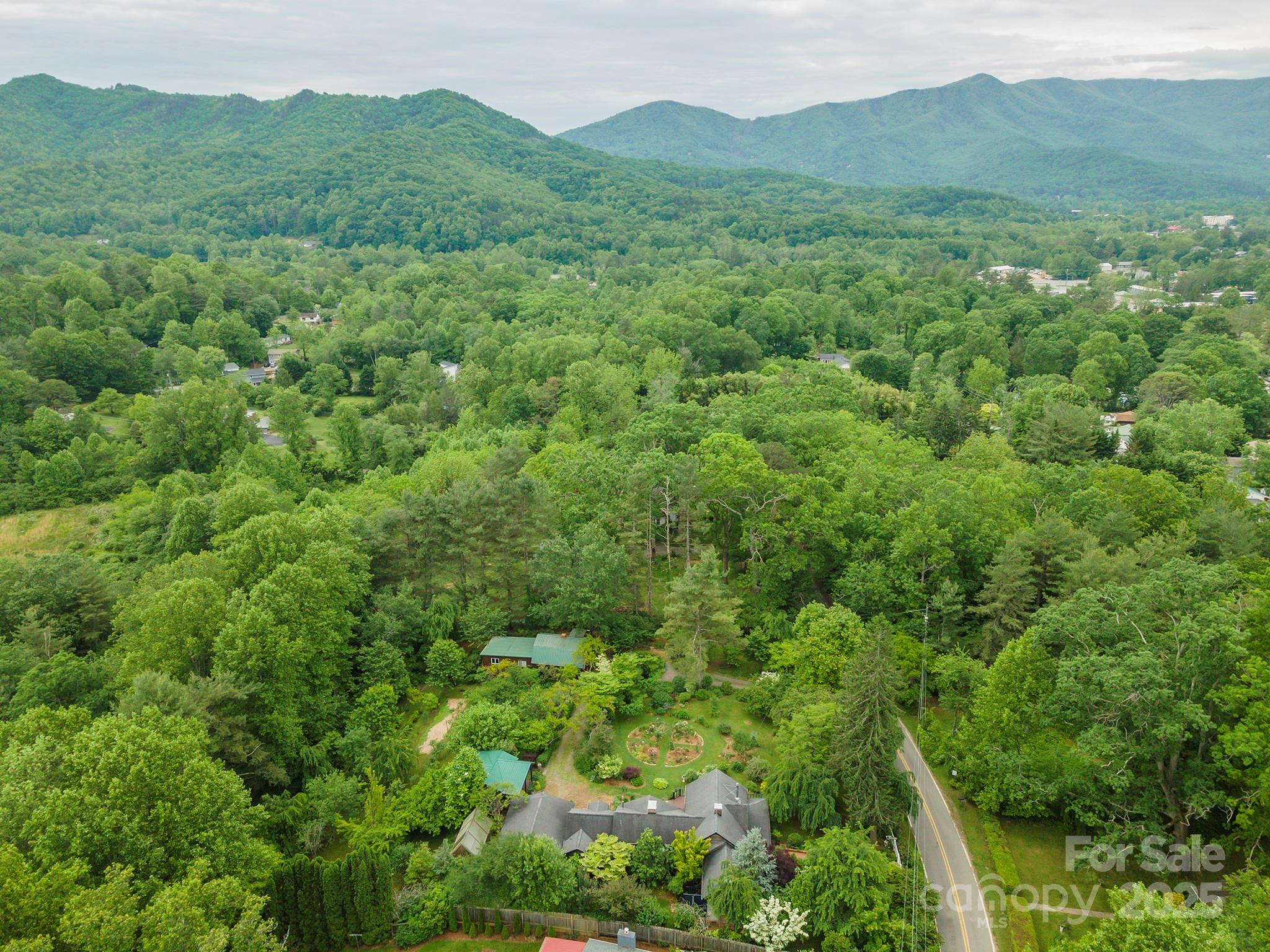 528 Padgettown Road Black Mountain, NC 28711 - Photo 43 of 43 a view of a lush green forest with lush green forest