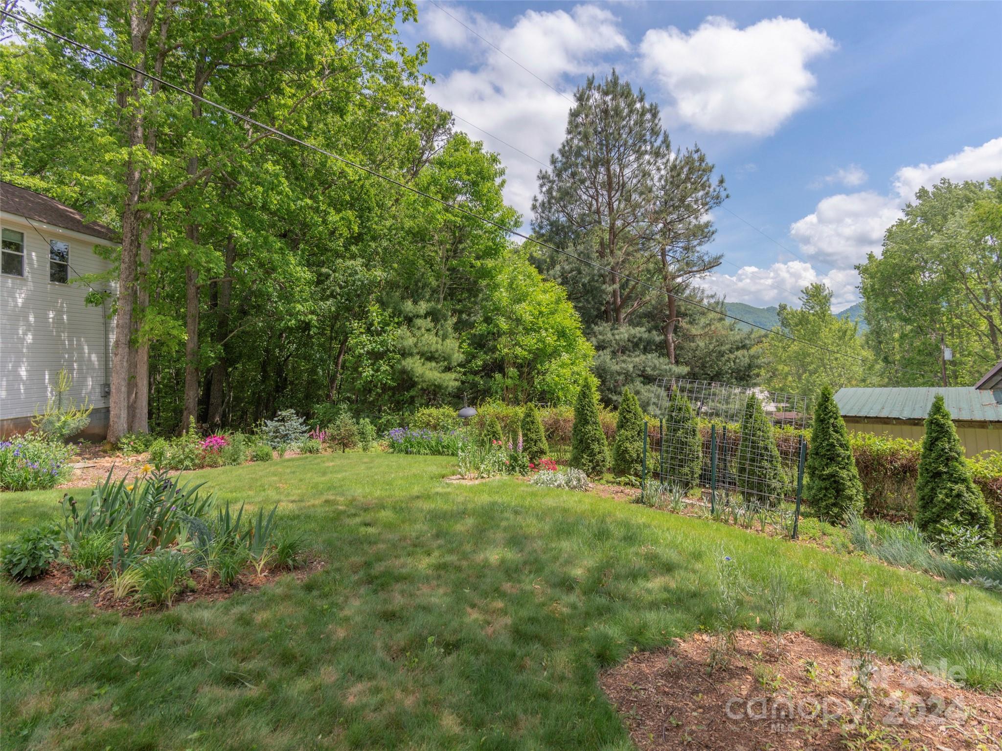952 Thompson Cove Road Clyde, NC 28721 - Photo 29 of 43 a view of a backyard