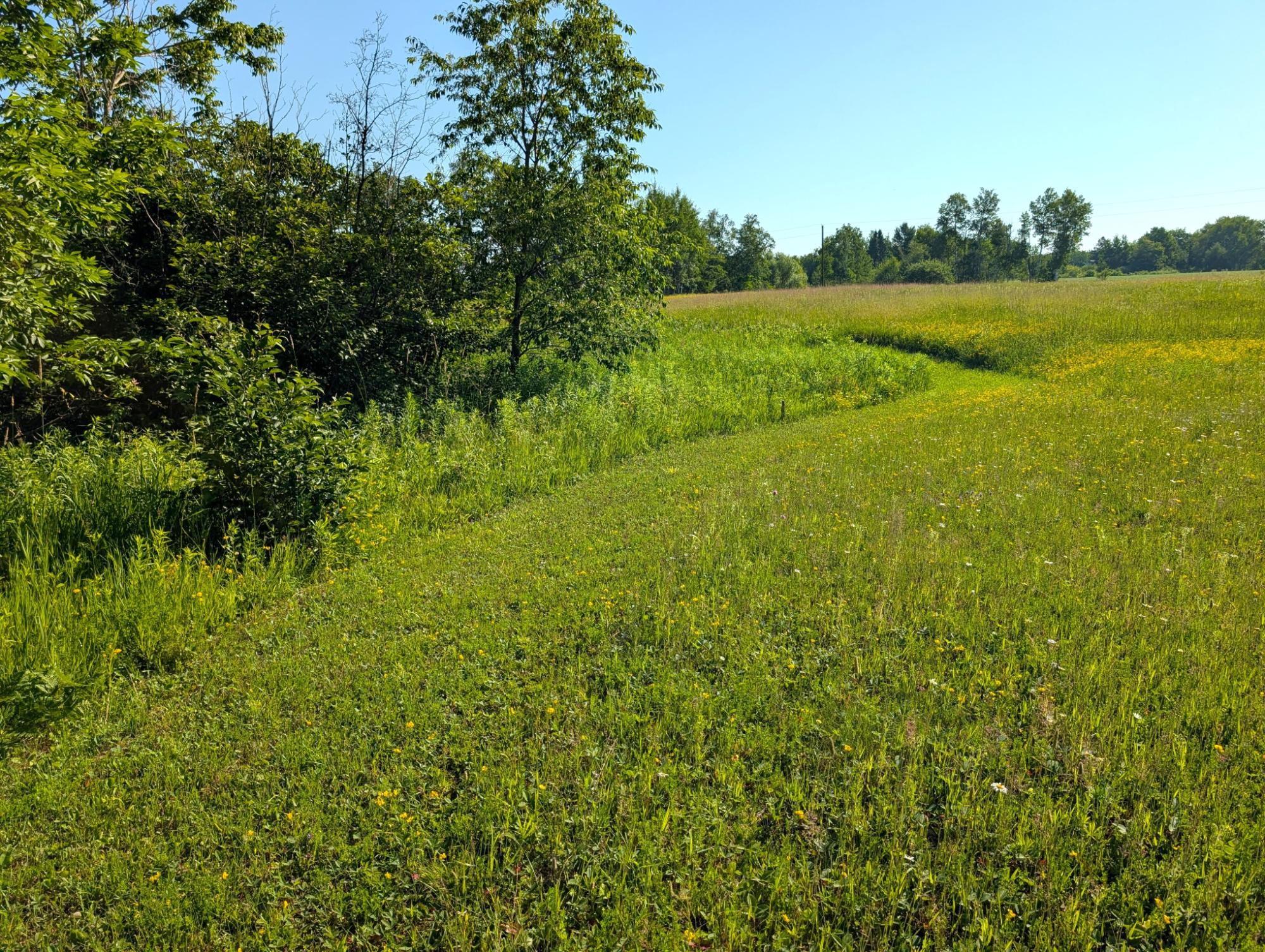 25920 Franzel Road Mason, WI 54856 - Photo 13 of 27 Gallery Image 13