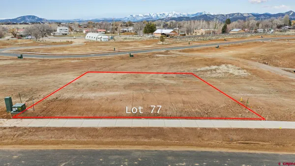 a view of an ocean beach