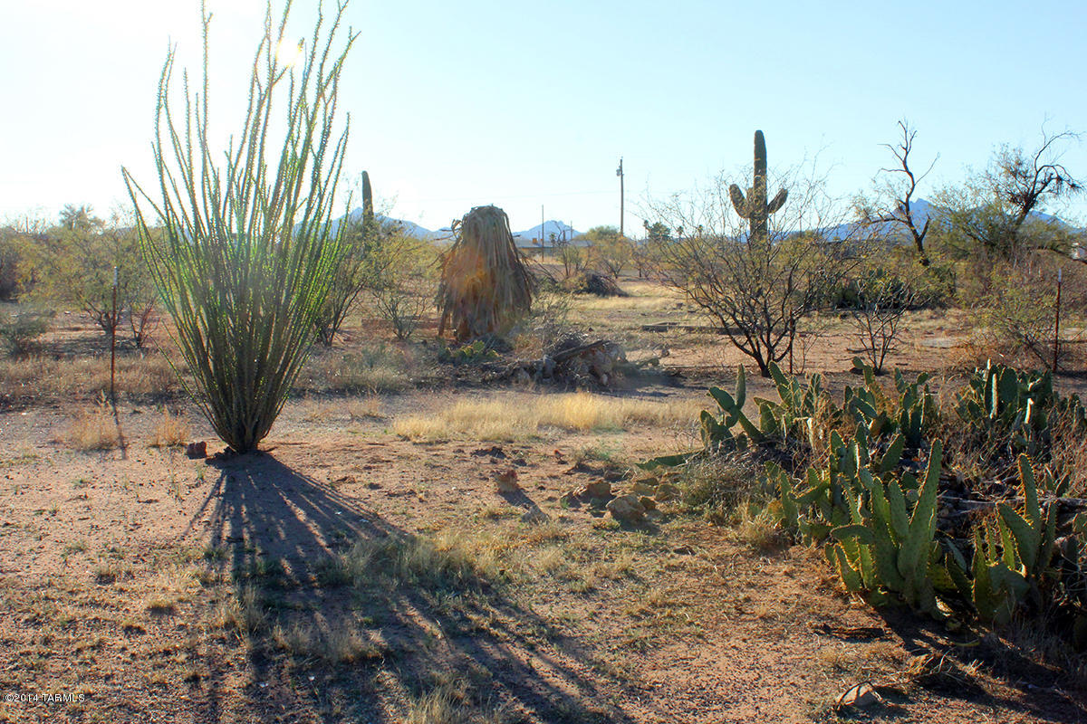 10101 North Feldman Road, Unit 140 Marana, AZ 85653 - Photo 8 of 10 Gallery Image 8