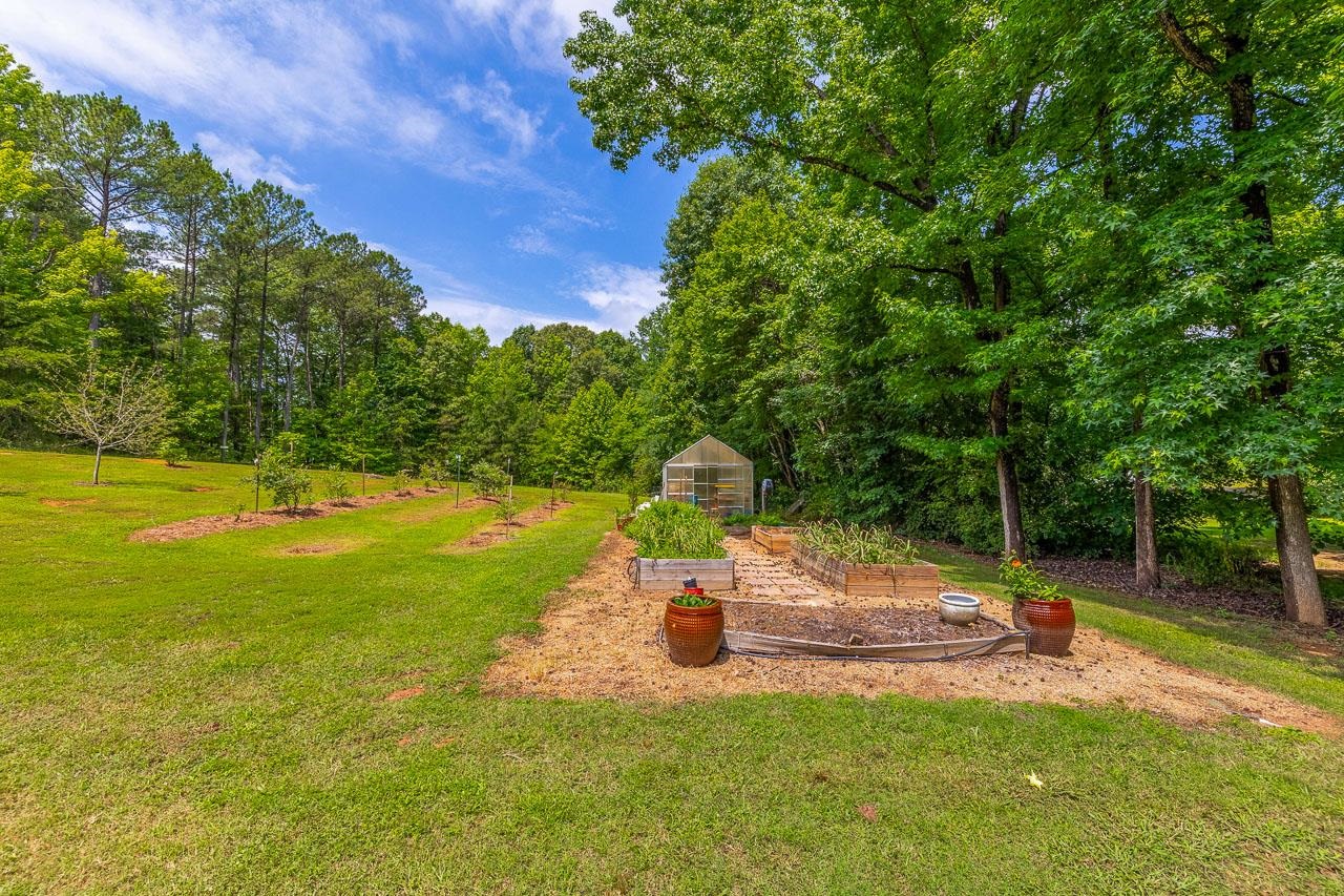 309 Evins Road Pauline, SC 29374 - Photo 7 of 35