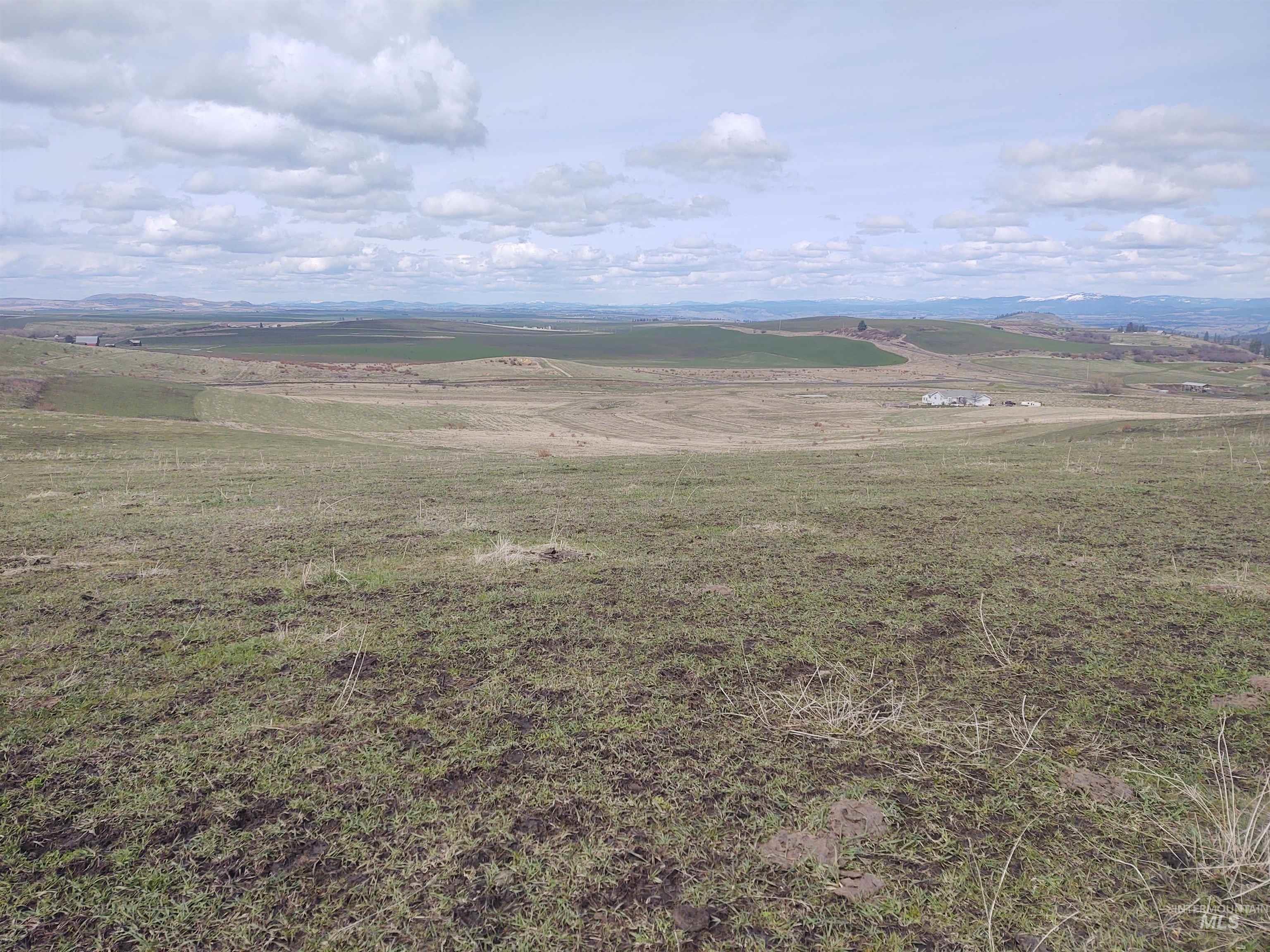 Lot 14 Knox Road Grangeville, ID 83530 - Photo 5 of 13
