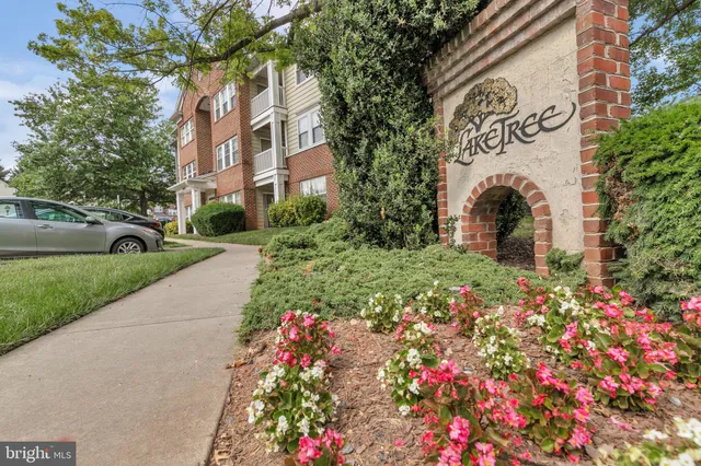 a view of a lake with a park