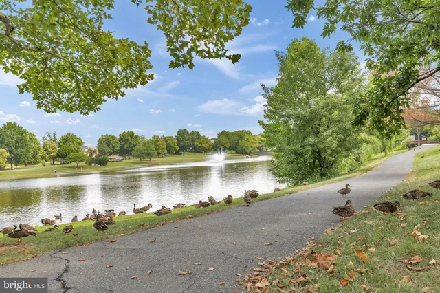 a yard with lake view and a houses