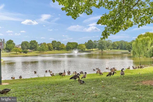 a lake view with a lake view