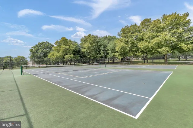 a view of a tennis ground with large trees