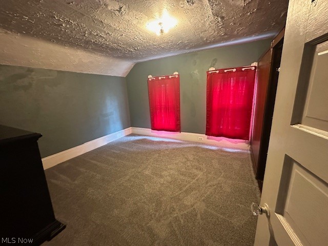 3231 Riverside Avenue Cleveland, OH 44109 - Photo 9 of 37 Bonus room with carpet floors, a textured ceiling, and vaulted ceiling