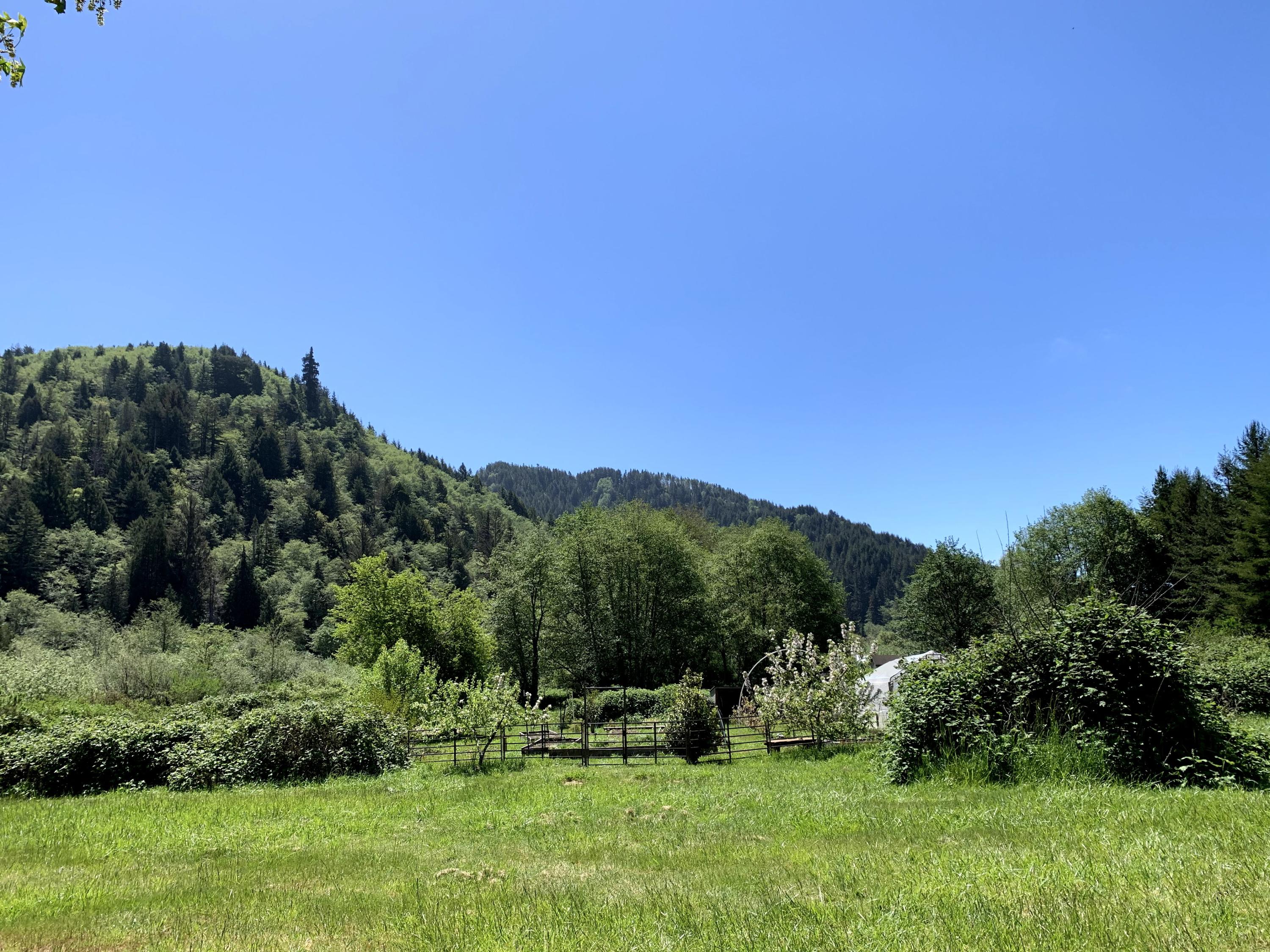2191 Hunter Creek Road Klamath, CA 95548 - Photo 51 of 136
