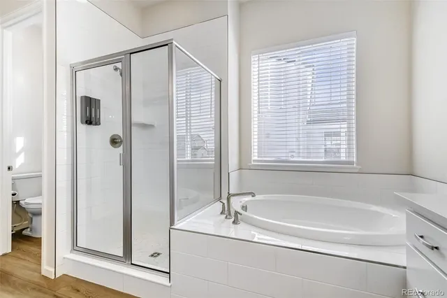 a bathroom with a bathtub and a shower