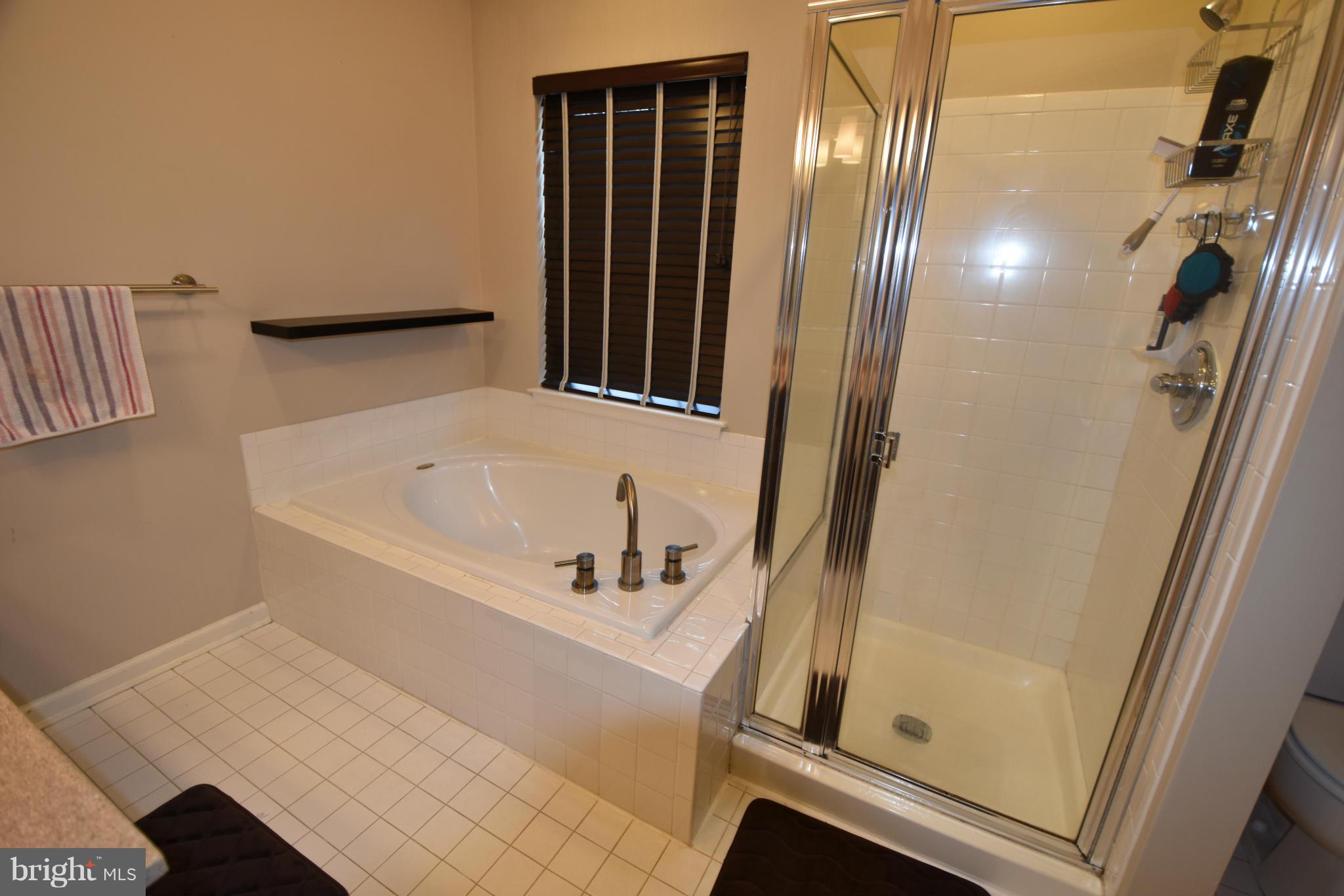 2646 Summers Ridge Drive Odenton, MD 21113 - Photo 12 of 30 Soaking tub with separate shower