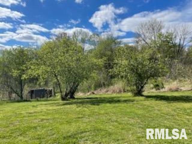 3489 Olive Branch Road Mounds, IL 62964 - Photo 4 of 36