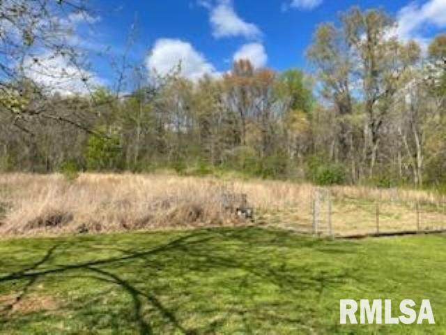 3489 Olive Branch Road Mounds, IL 62964 - Photo 5 of 36