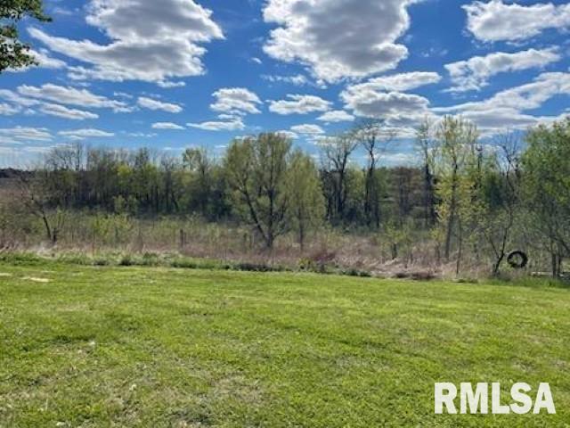 3489 Olive Branch Road Mounds, IL 62964 - Photo 6 of 36