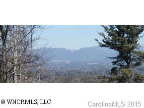 Lot 2 Fox Trap Ridge Road, Unit 2C Weaverville, NC 28787 - Photo 2 of 3 a view of a dry yard