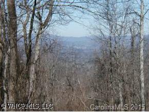 Lot 2 Fox Trap Ridge Road, Unit 2C Weaverville, NC 28787 - Photo 3 of 3 a view of forest