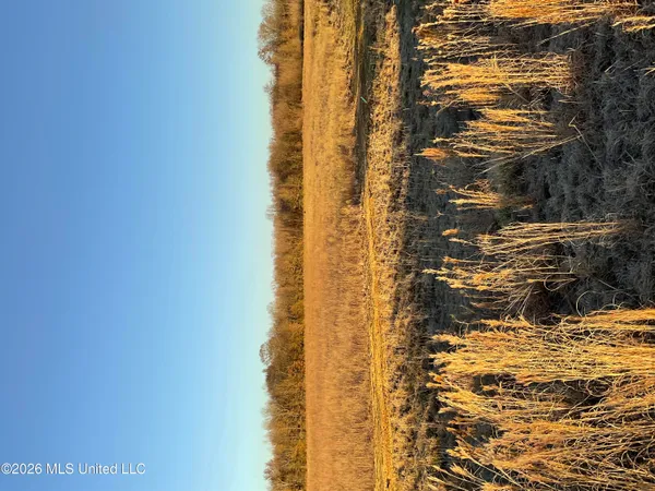 $10,000,000 | North Calhoun Station Parkway, Canton, MS 39046