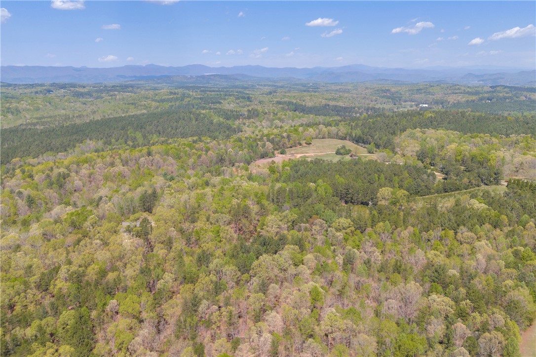 573 Nimmons Bridge Road Salem, SC 29676 - Photo 12 of 28 Gallery Image 12