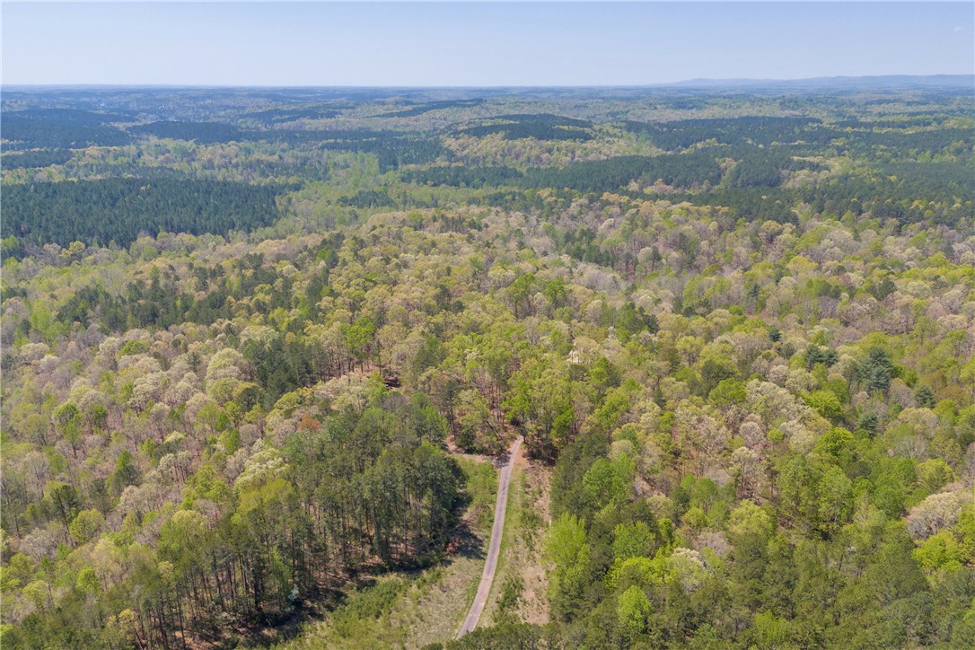 573 Nimmons Bridge Road Salem, SC 29676 - Photo 18 of 28 Gallery Image 18